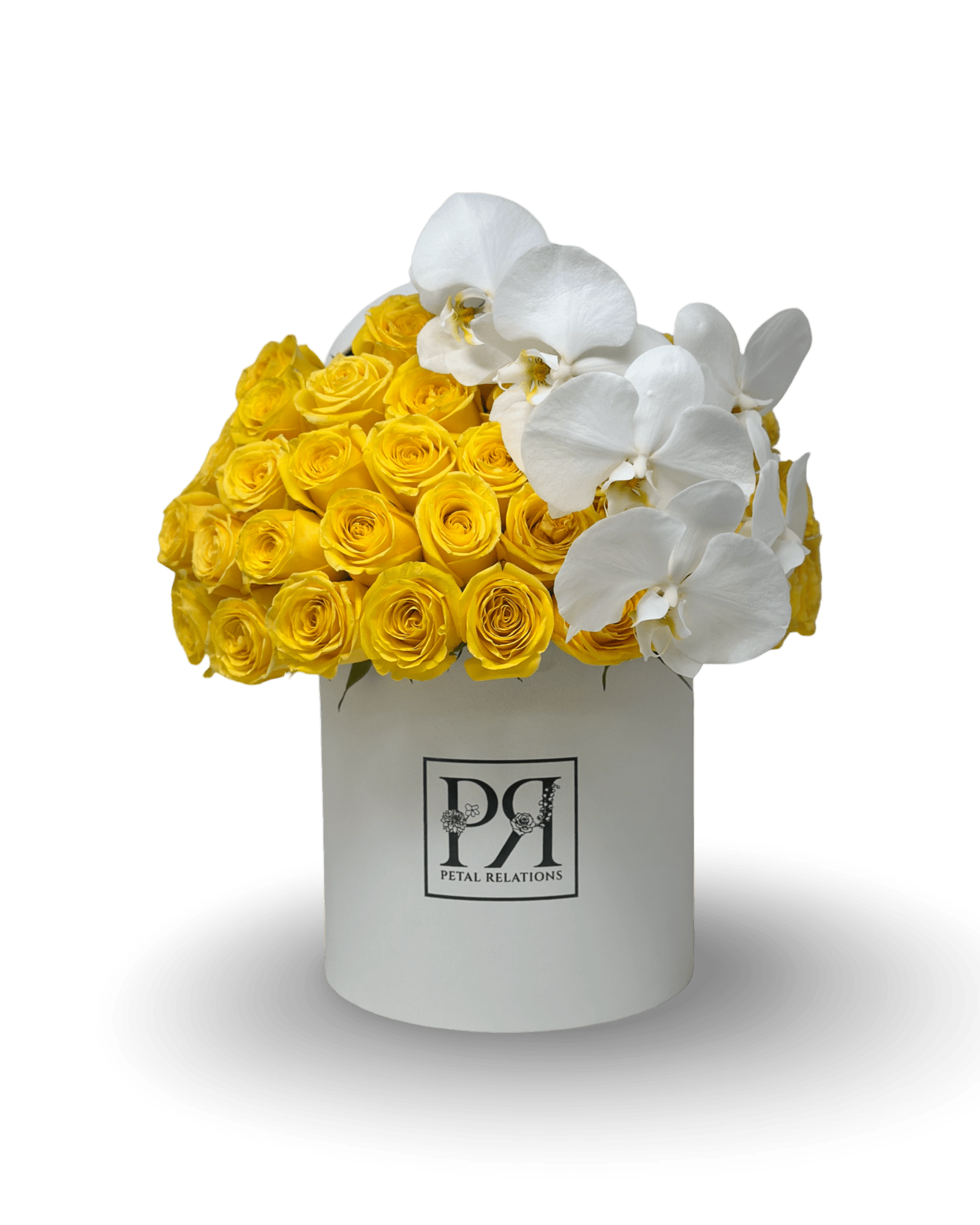 Simply Rose with Phalaenopsis Orchid in a Box - Petal Relations