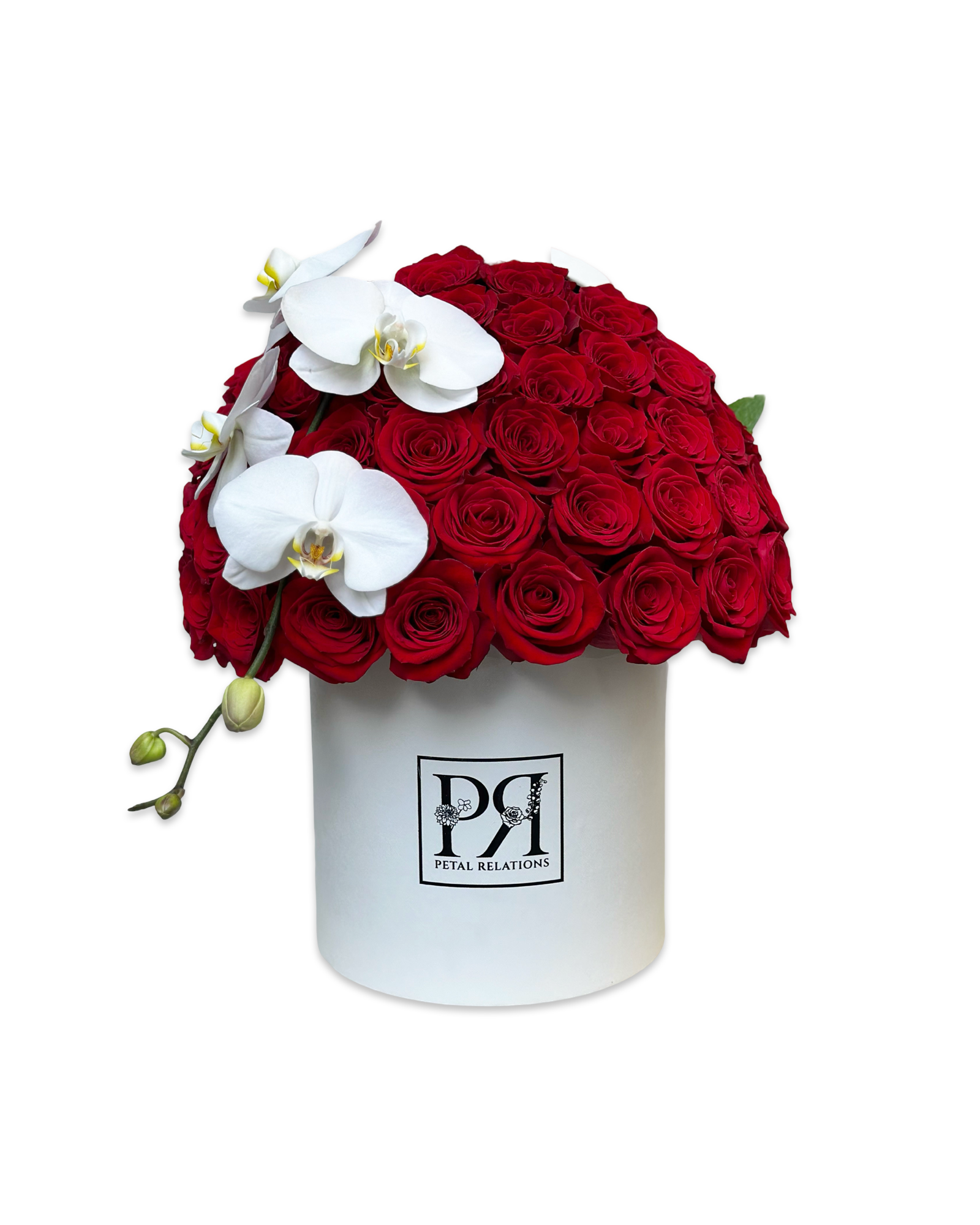 Simply Rose with Phalaenopsis Orchid in a Box - Petal Relations