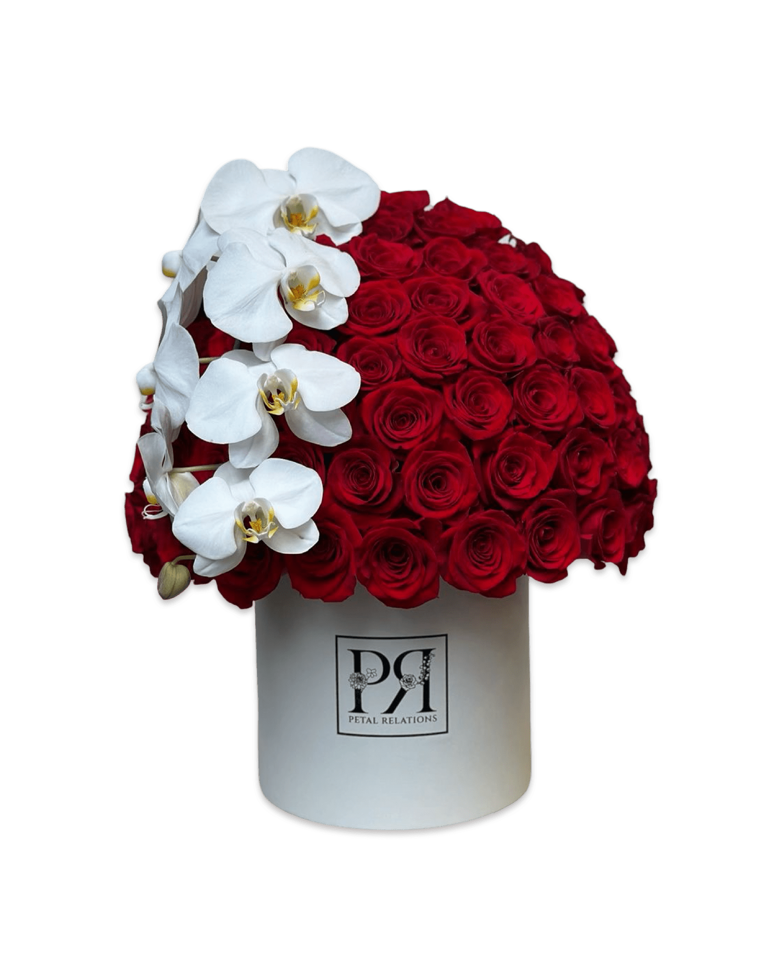 Simply Rose with Phalaenopsis Orchid in a Box - Petal Relations