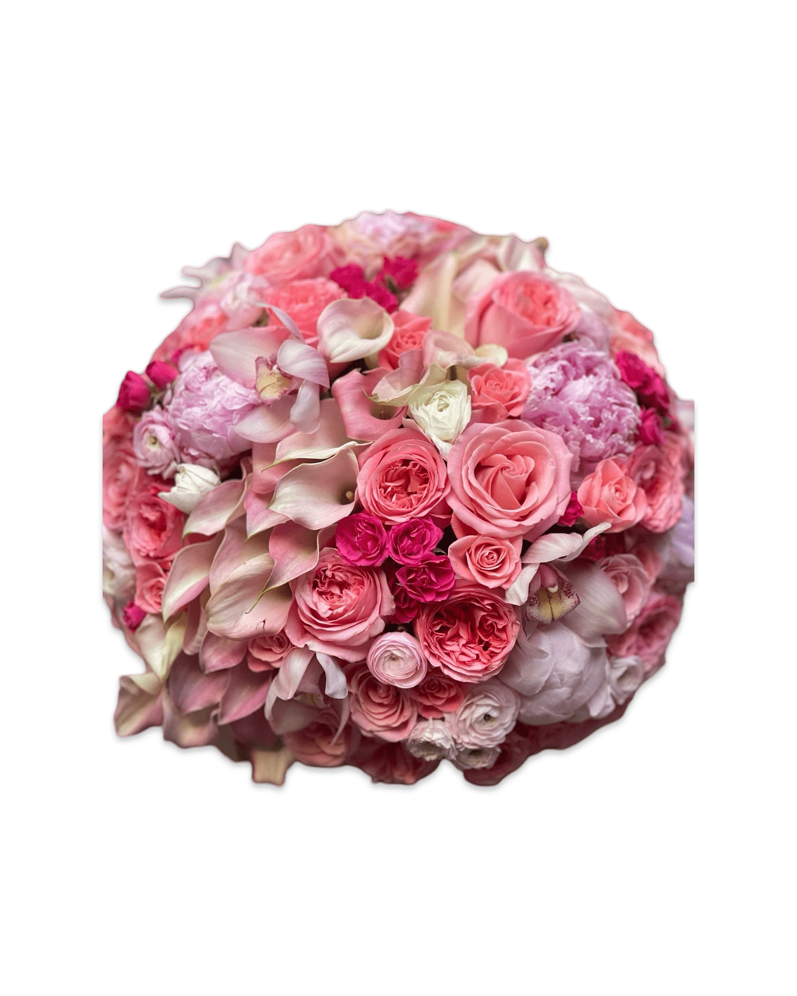 The Kaley - Petal Relations