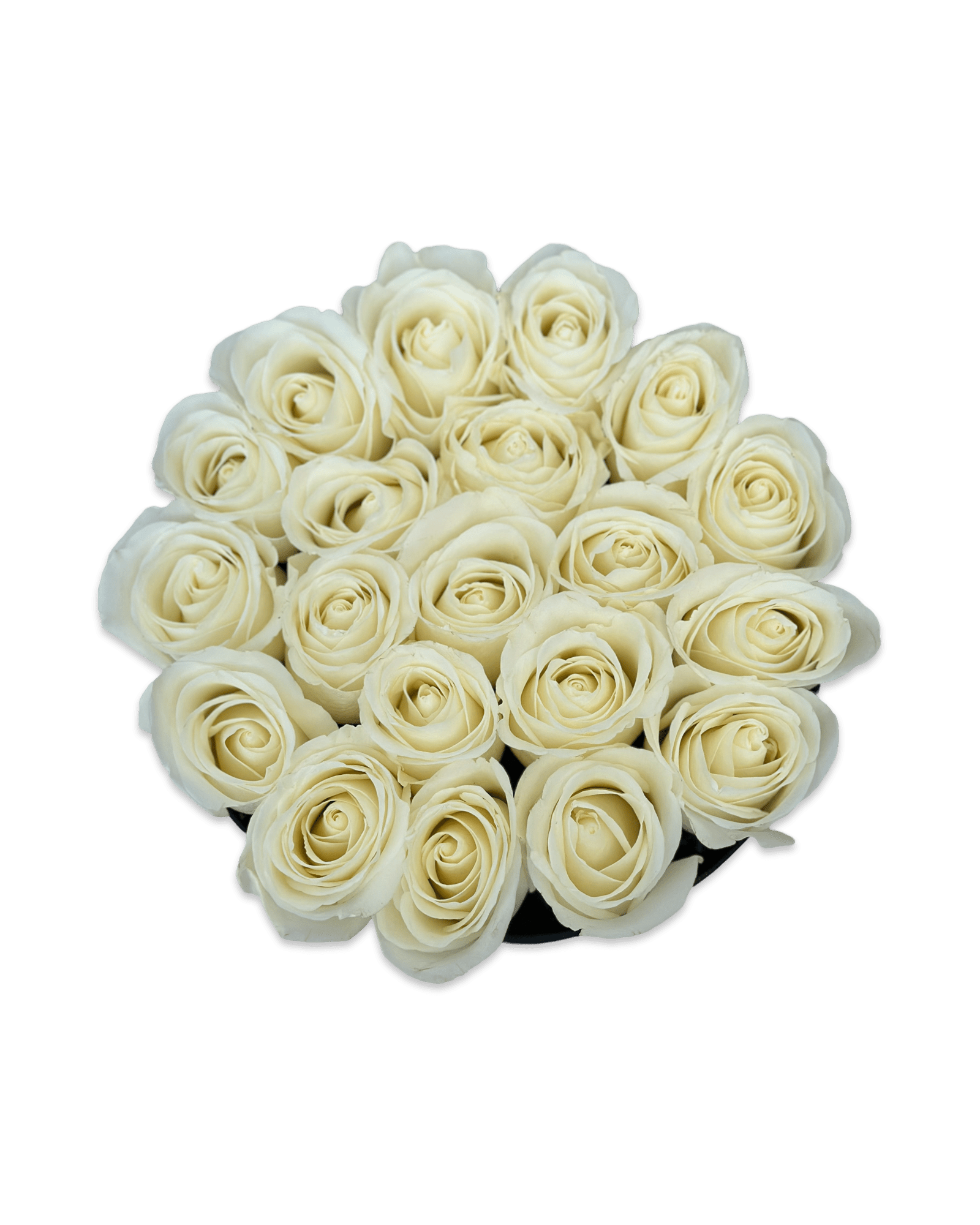 White Joy in a Box - Petal Relations