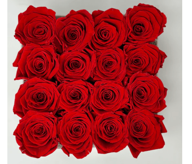Care & Handling Instructions for Your Floral Arrangements - Petal Relations