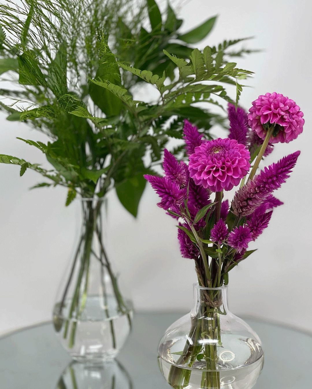Traditional Christmas Flowers - Petal Relations