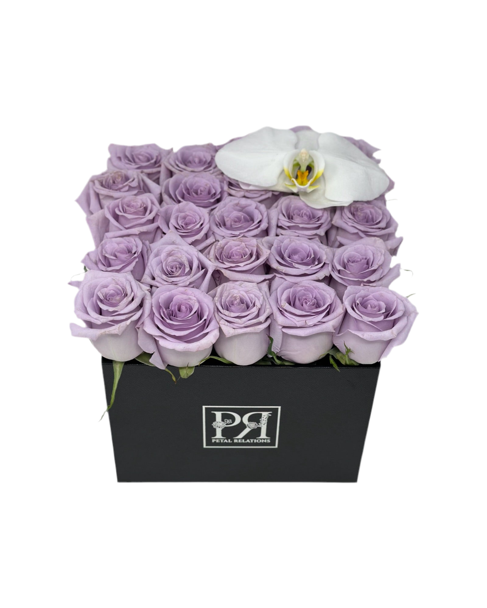 Romance in a Box with a Phalaenopsis Orchid MOM