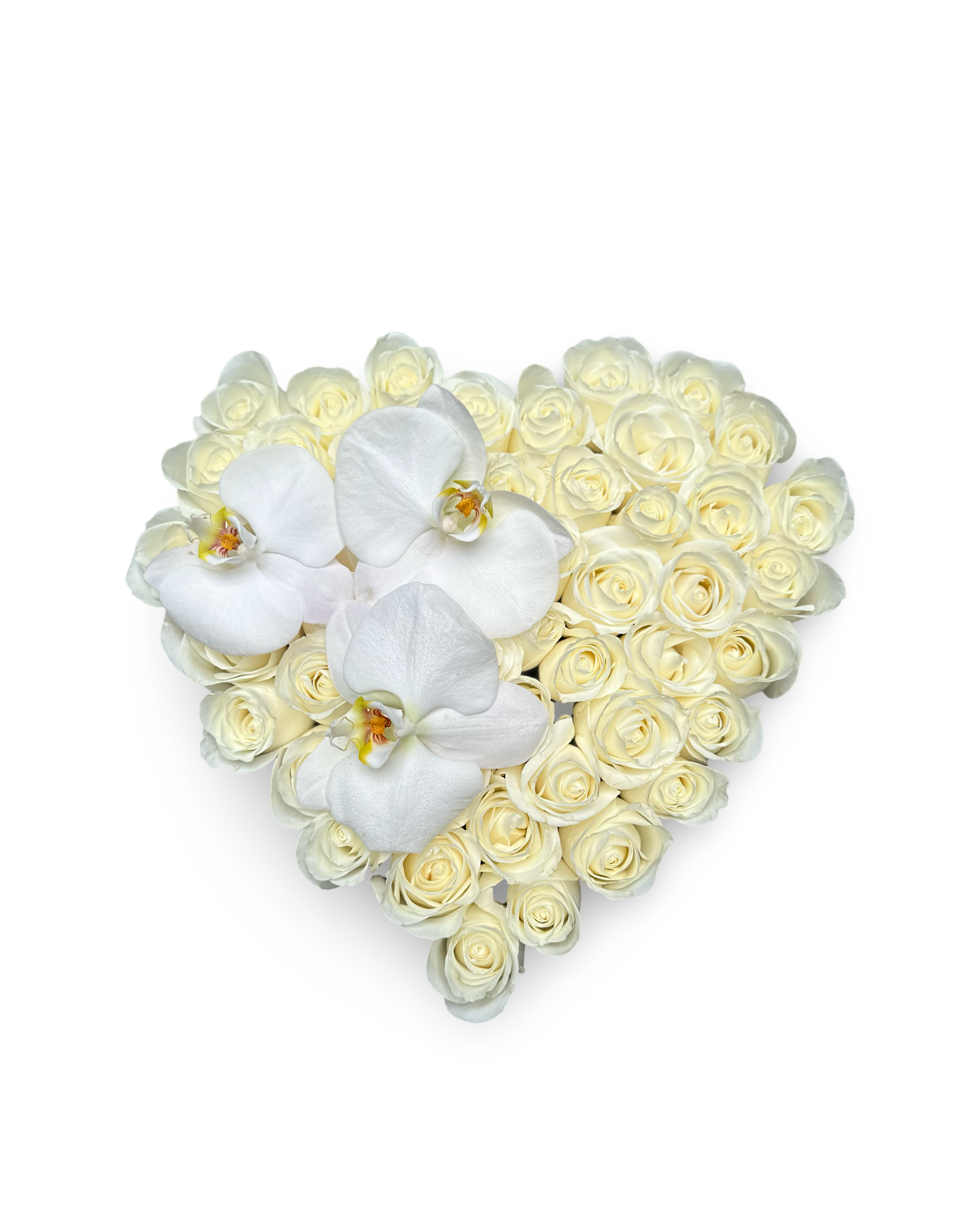 Be Mine in White with Phalaenopsis Orchid