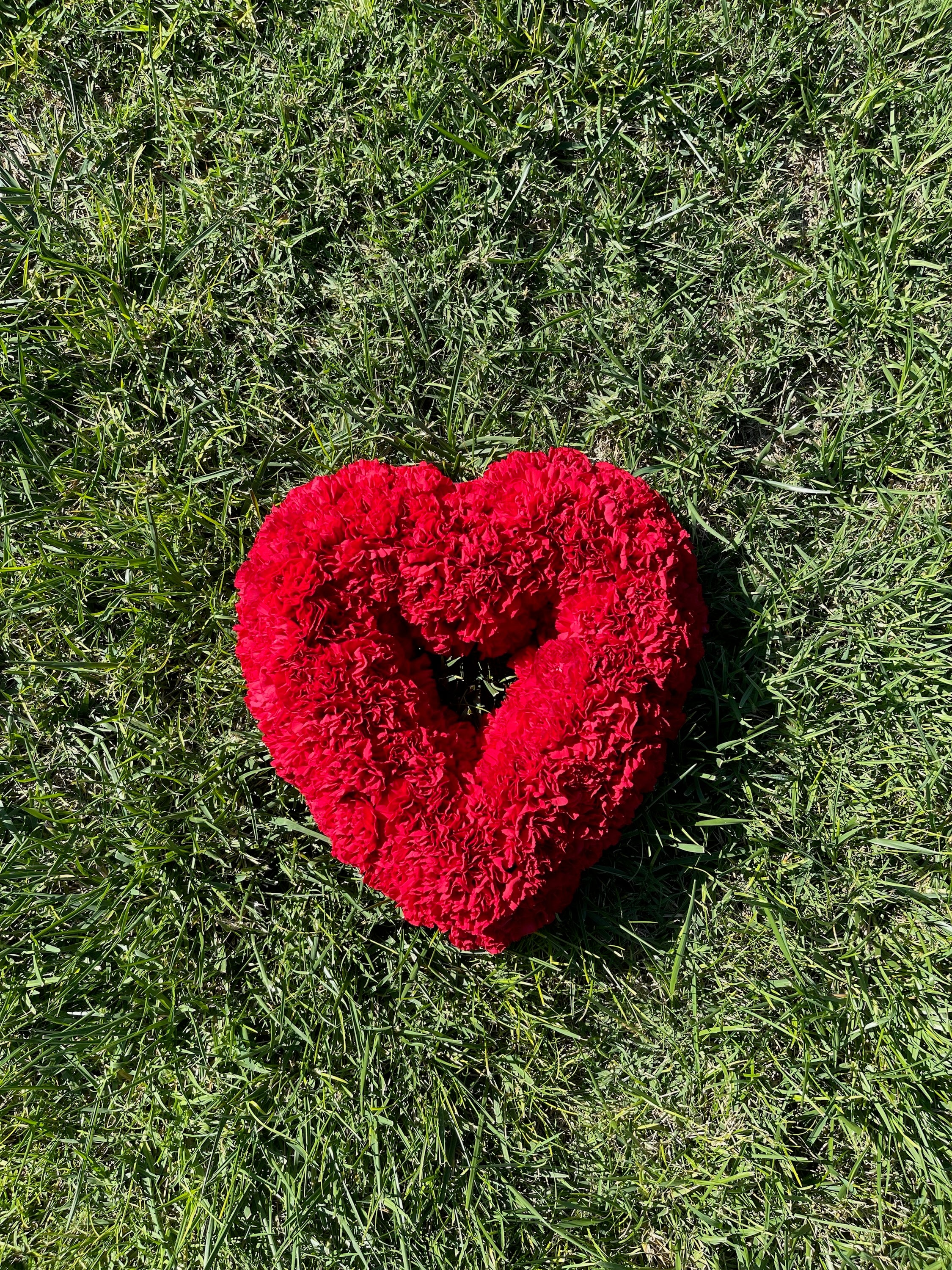 Heart Ground Cover