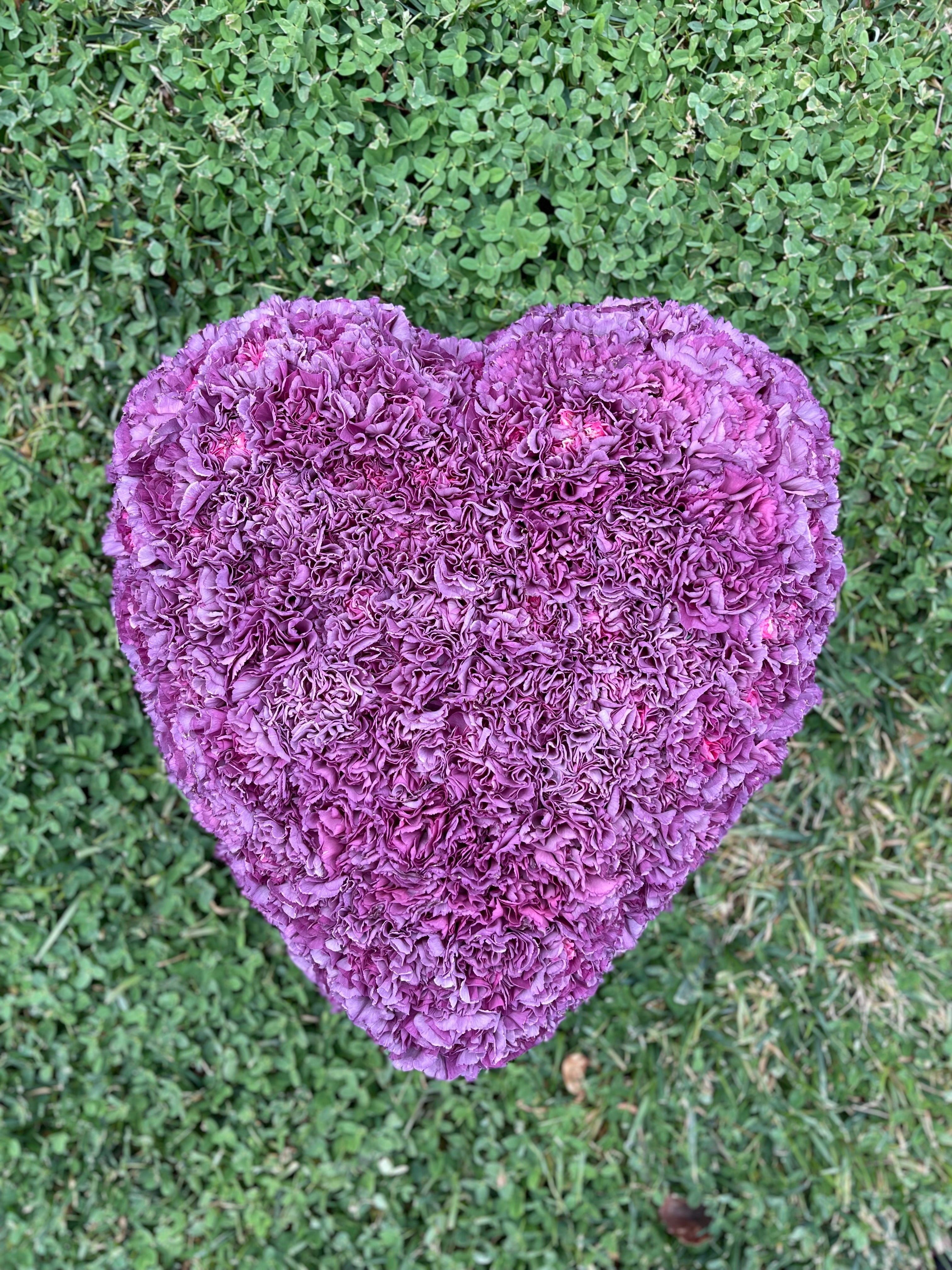 Heart Ground Cover