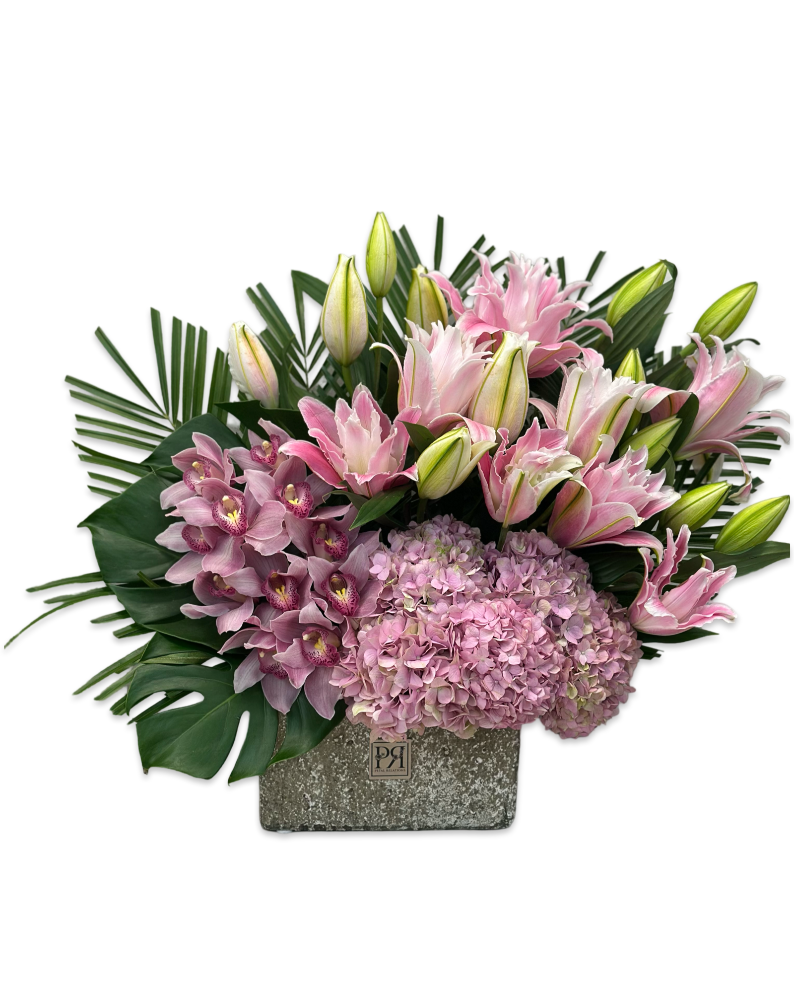 Lilly in Pink