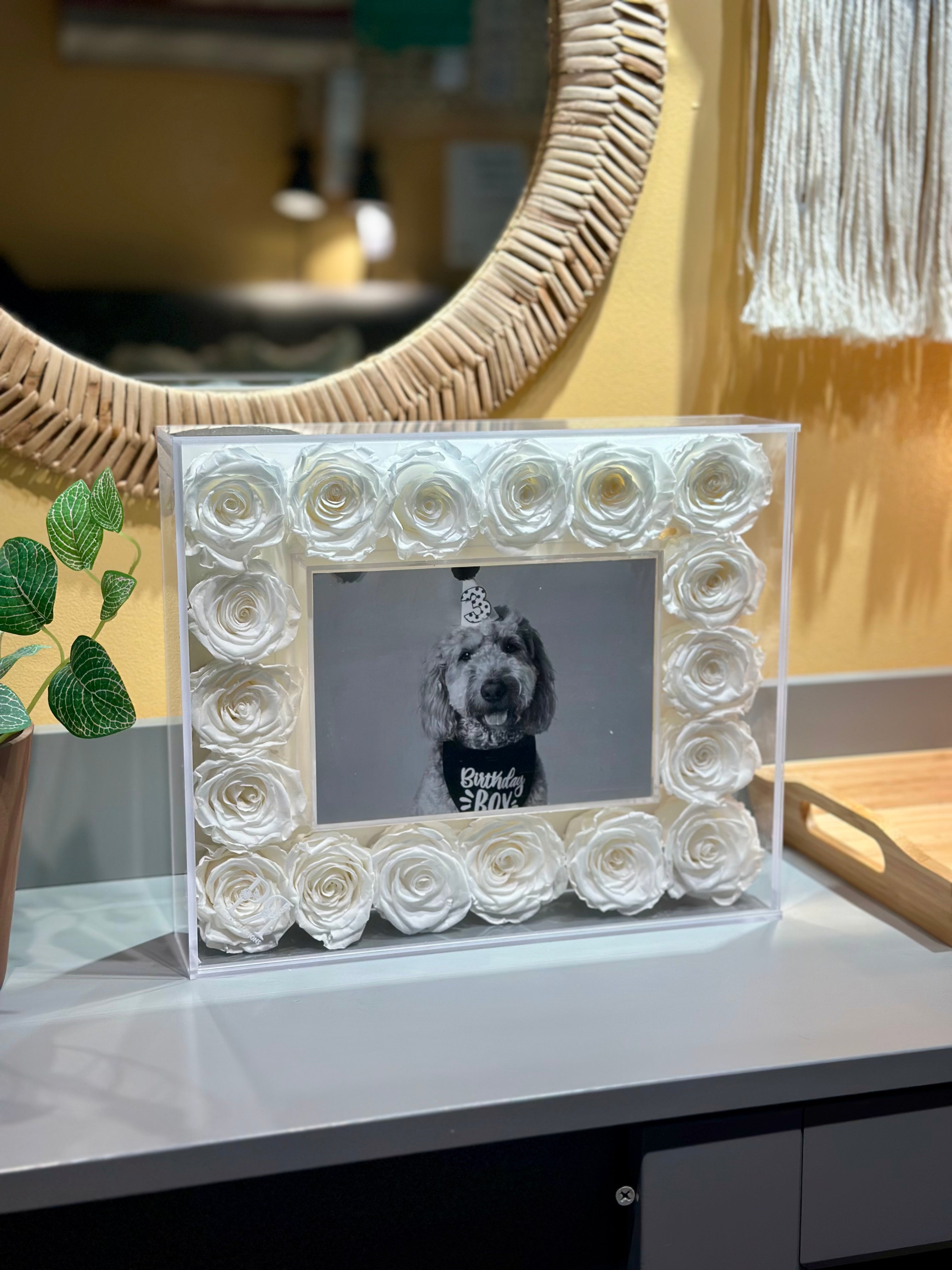 Standard Forever Petal Frame