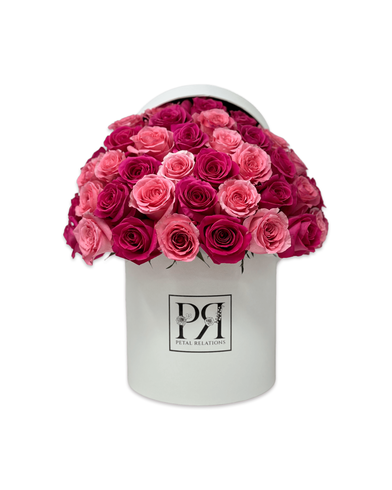 Barbie Girl - Petal Relations