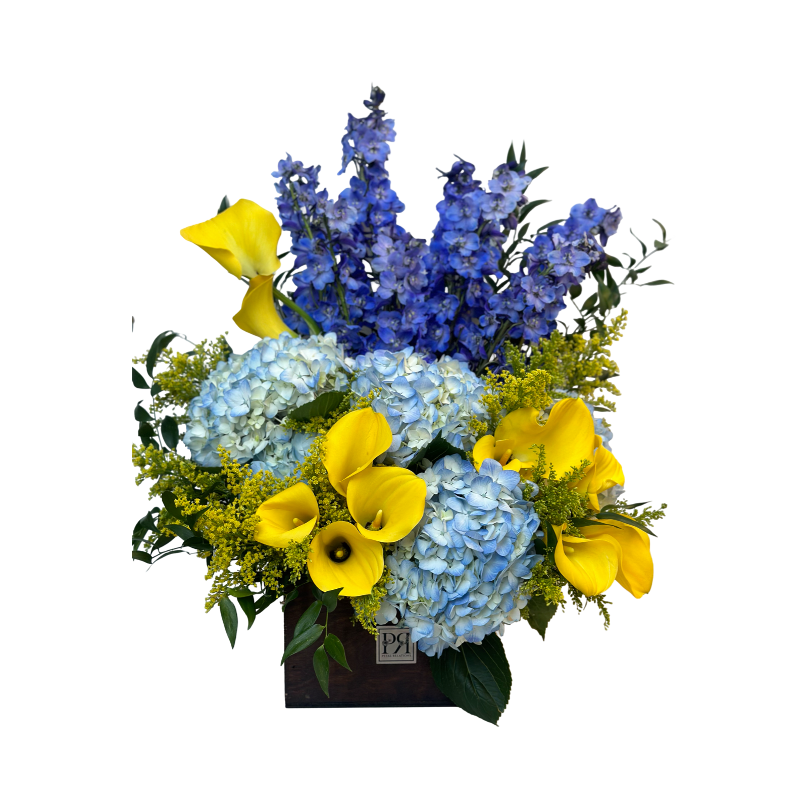 Blue Horizon - Petal Relations