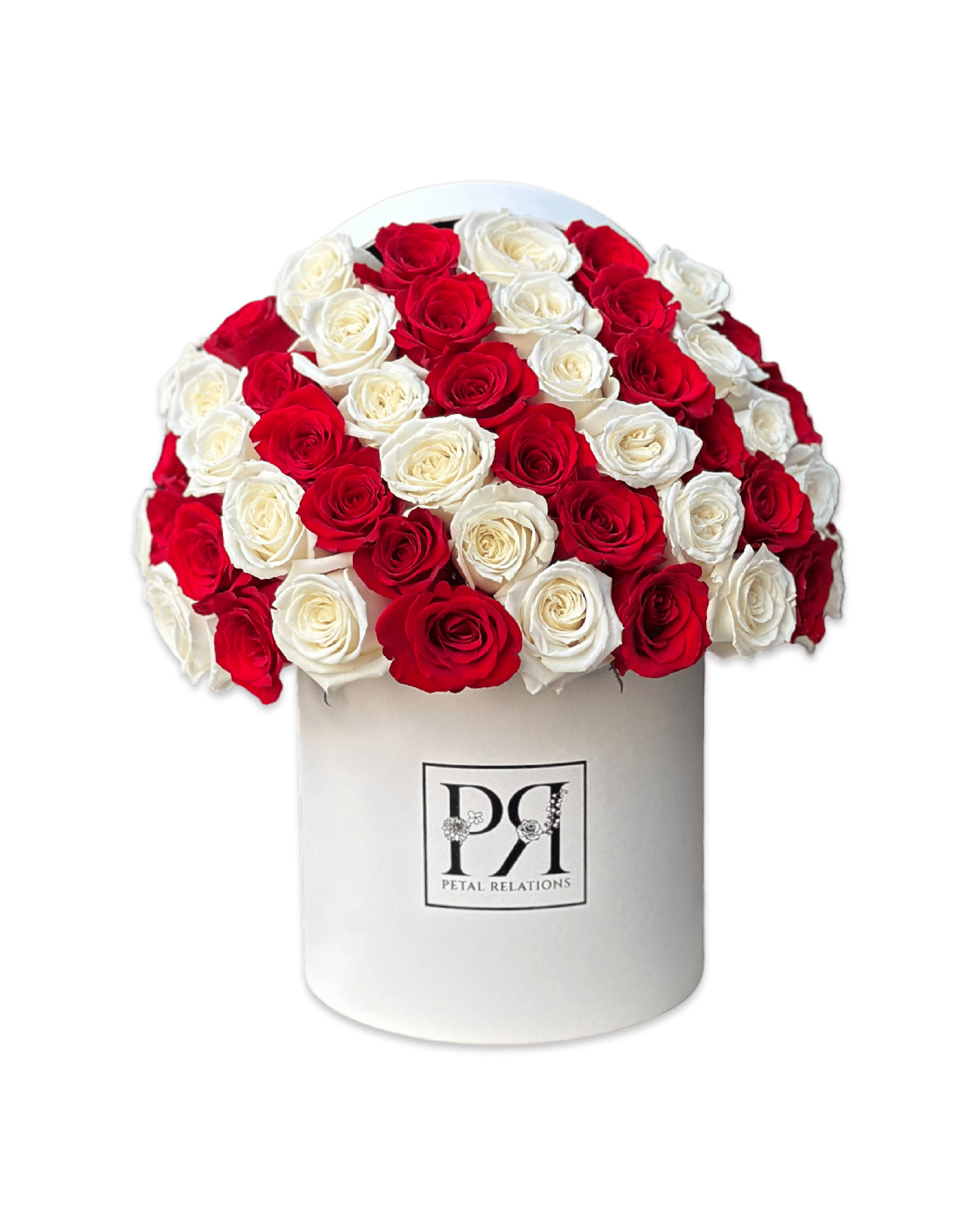 Candy Cane - Petal Relations