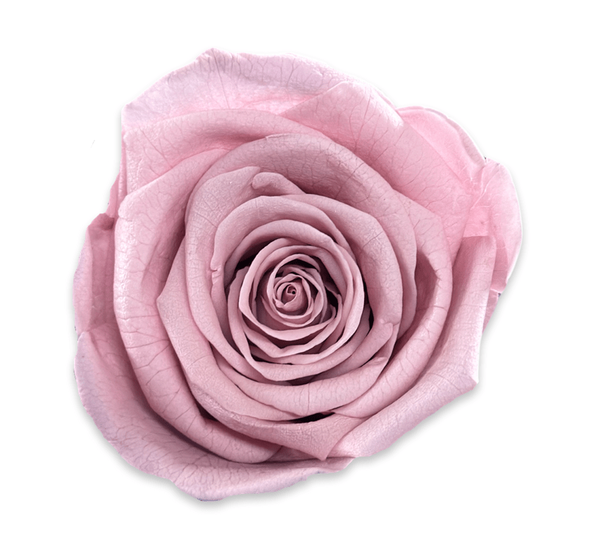 Forever Jumbo Rectangle - Petal Relations