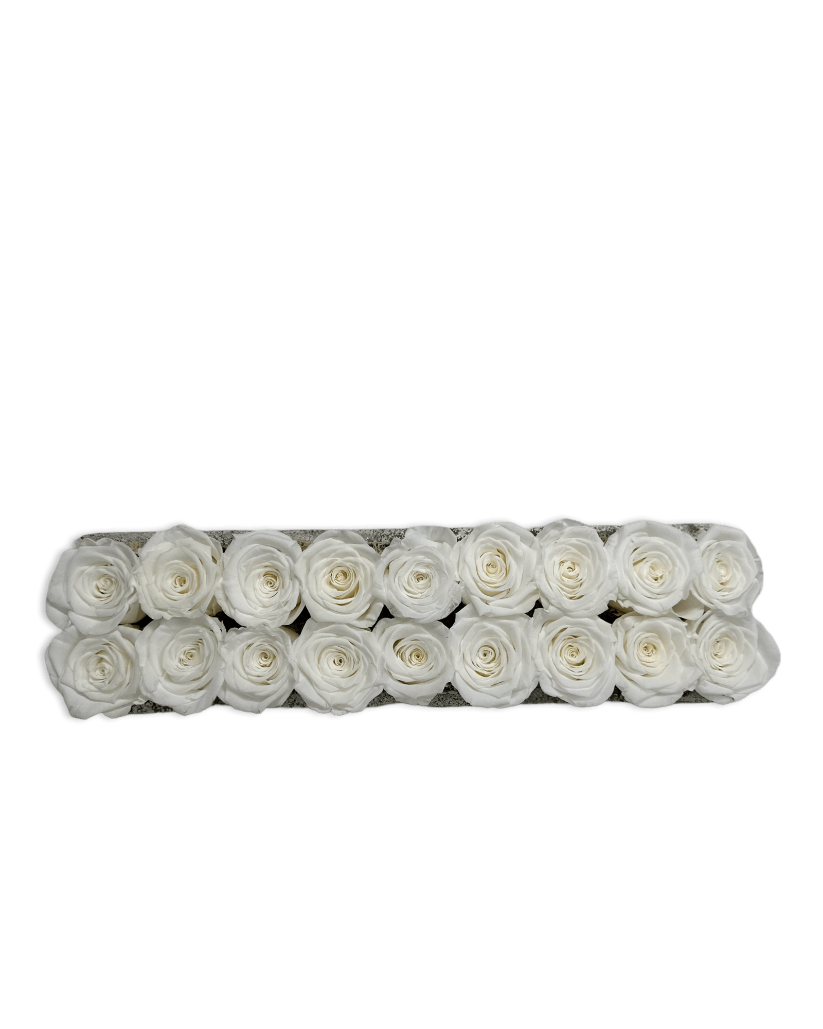 Forever Large Rectangle - Petal Relations