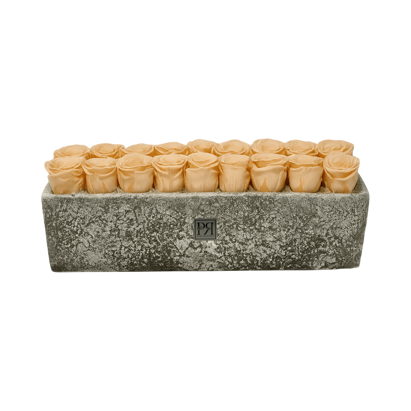 Forever Large Rectangle - Petal Relations