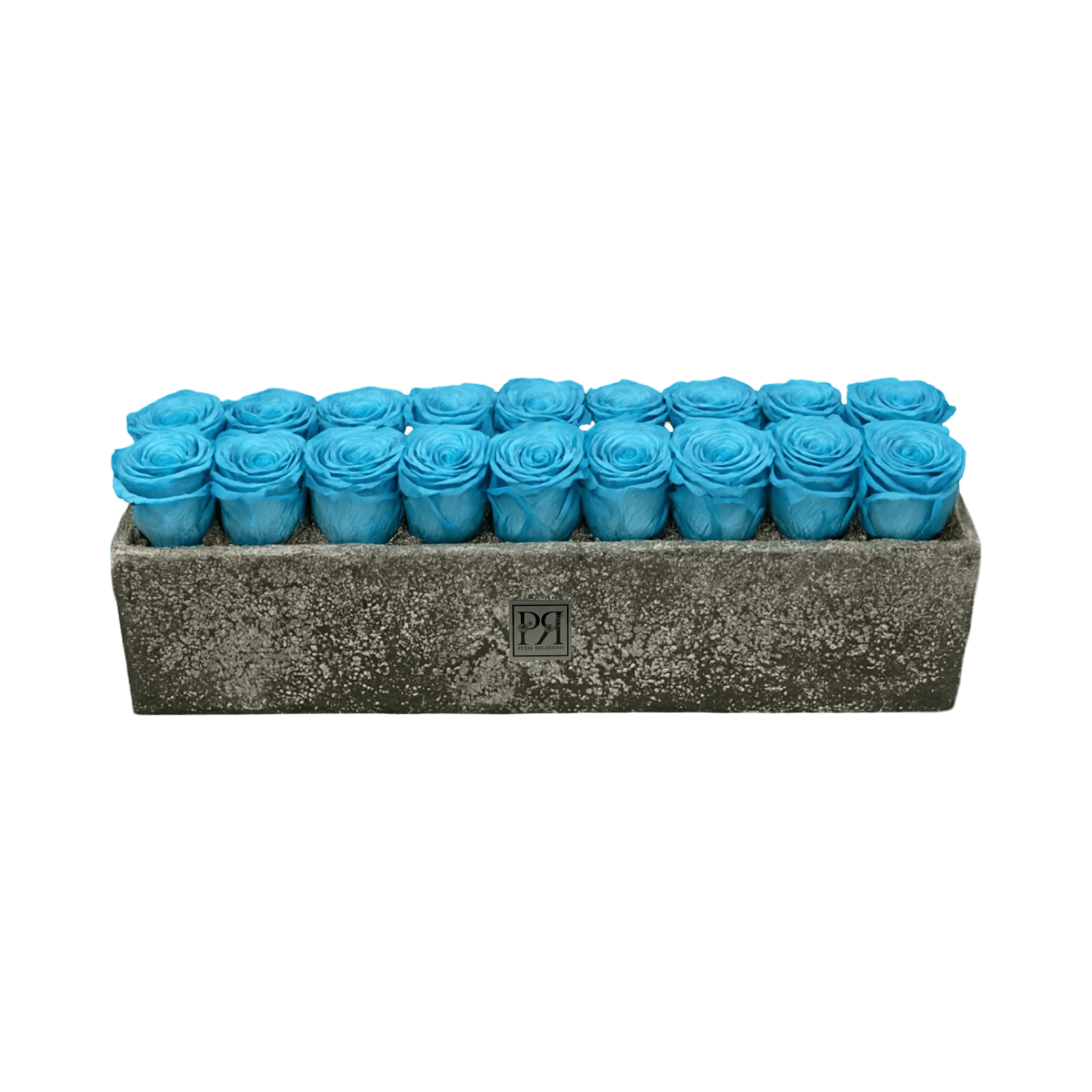 Forever Large Rectangle - Petal Relations