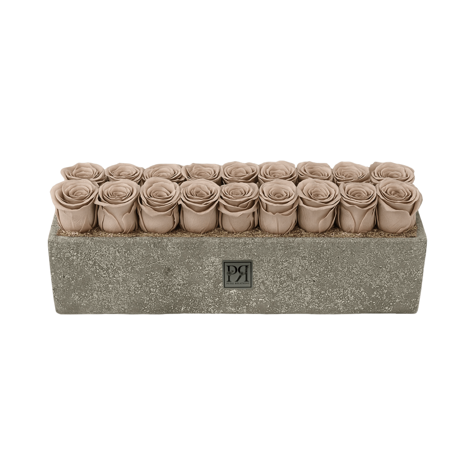 Forever Large Rectangle - Petal Relations