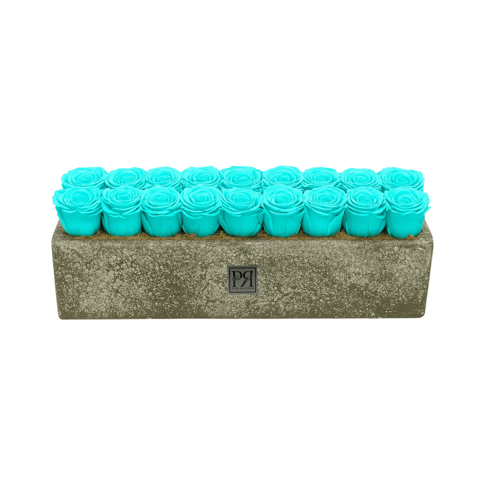 Forever Large Rectangle - Petal Relations