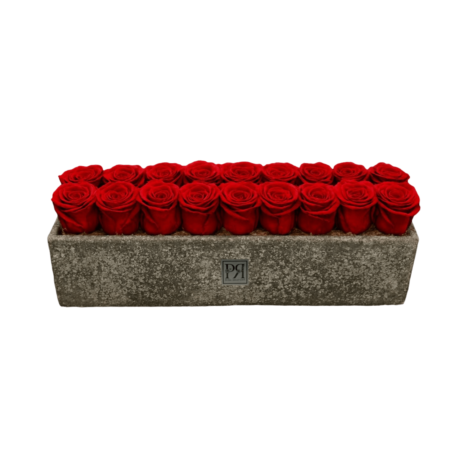 Forever Large Rectangle - Petal Relations