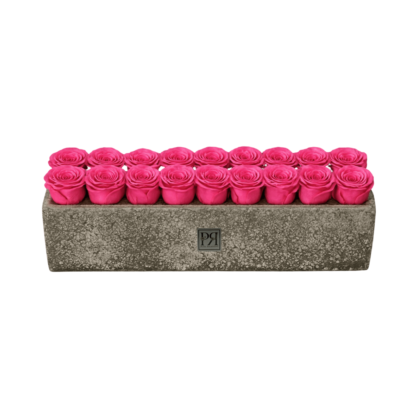 Forever Large Rectangle - Petal Relations