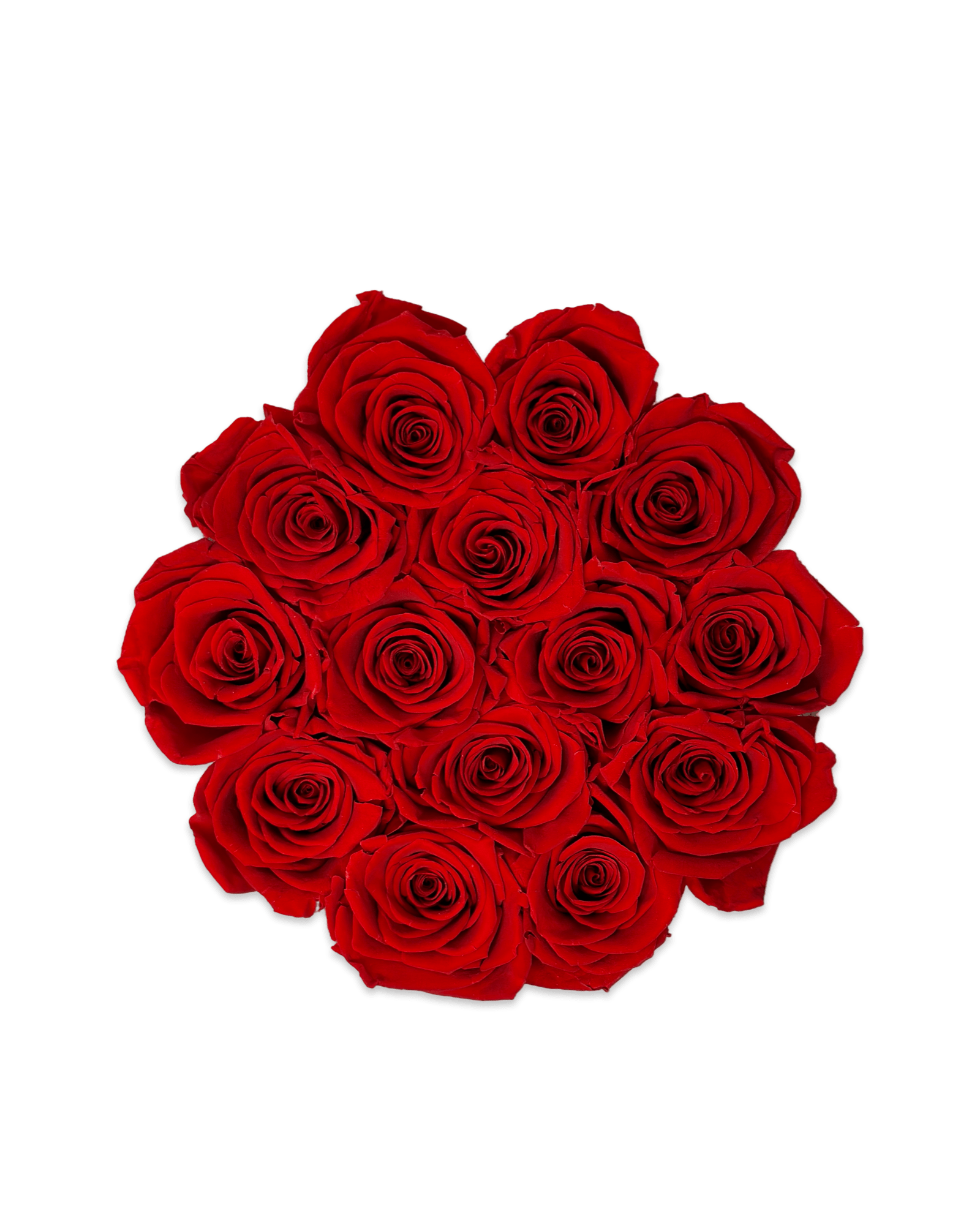 Forever Large Round - Petal Relations