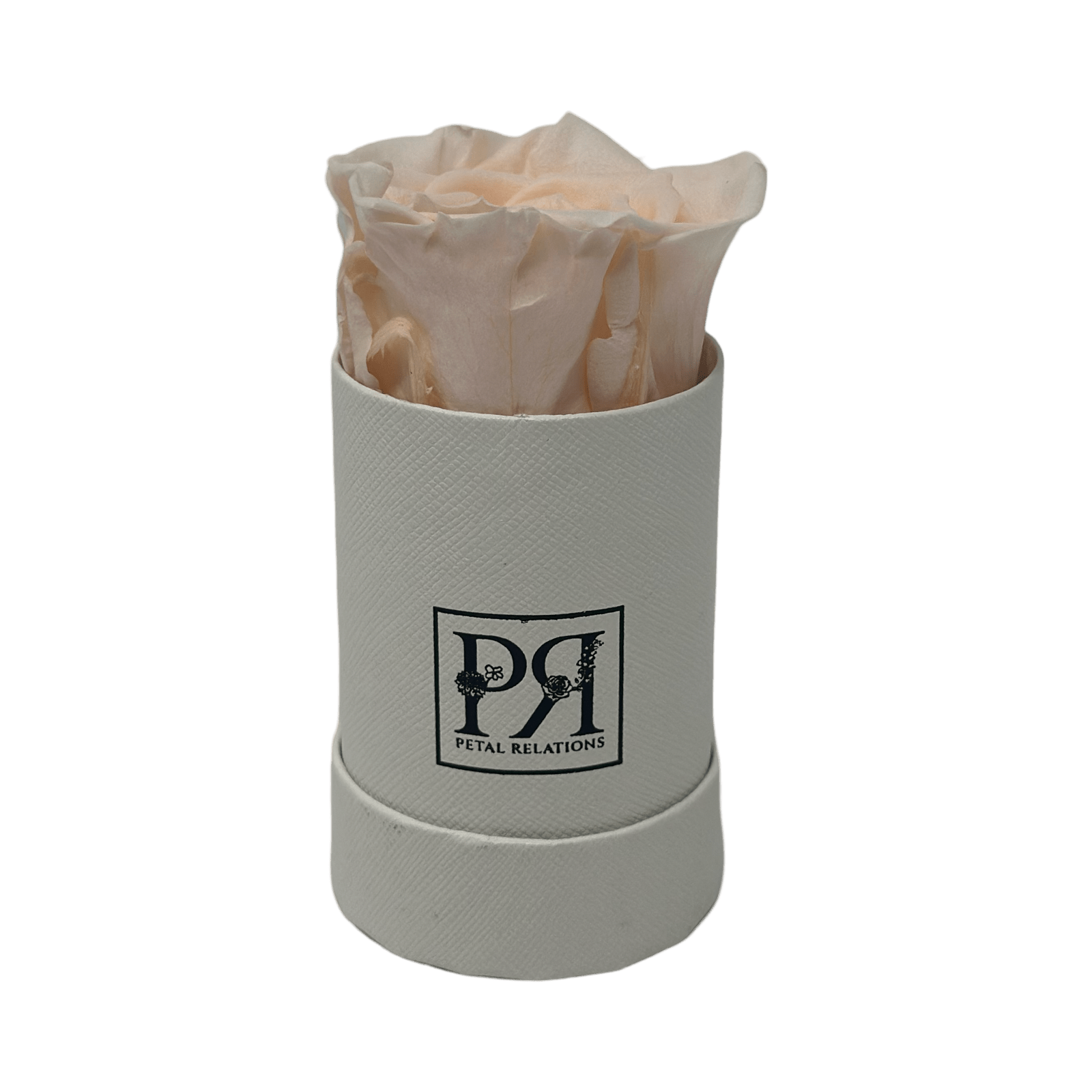 Forever Single Rose in a Box - Petal Relations