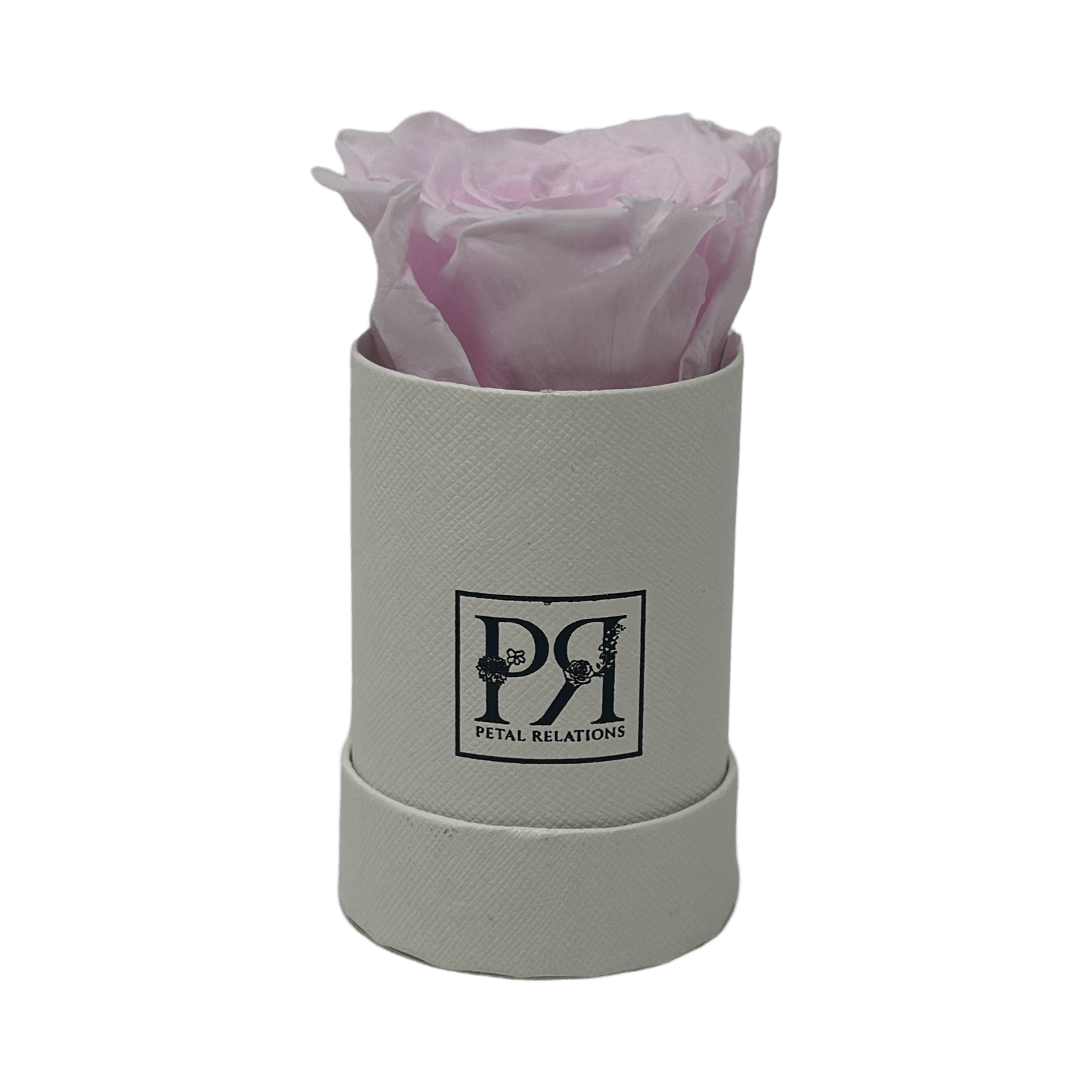 Forever Single Rose in a Box - Petal Relations