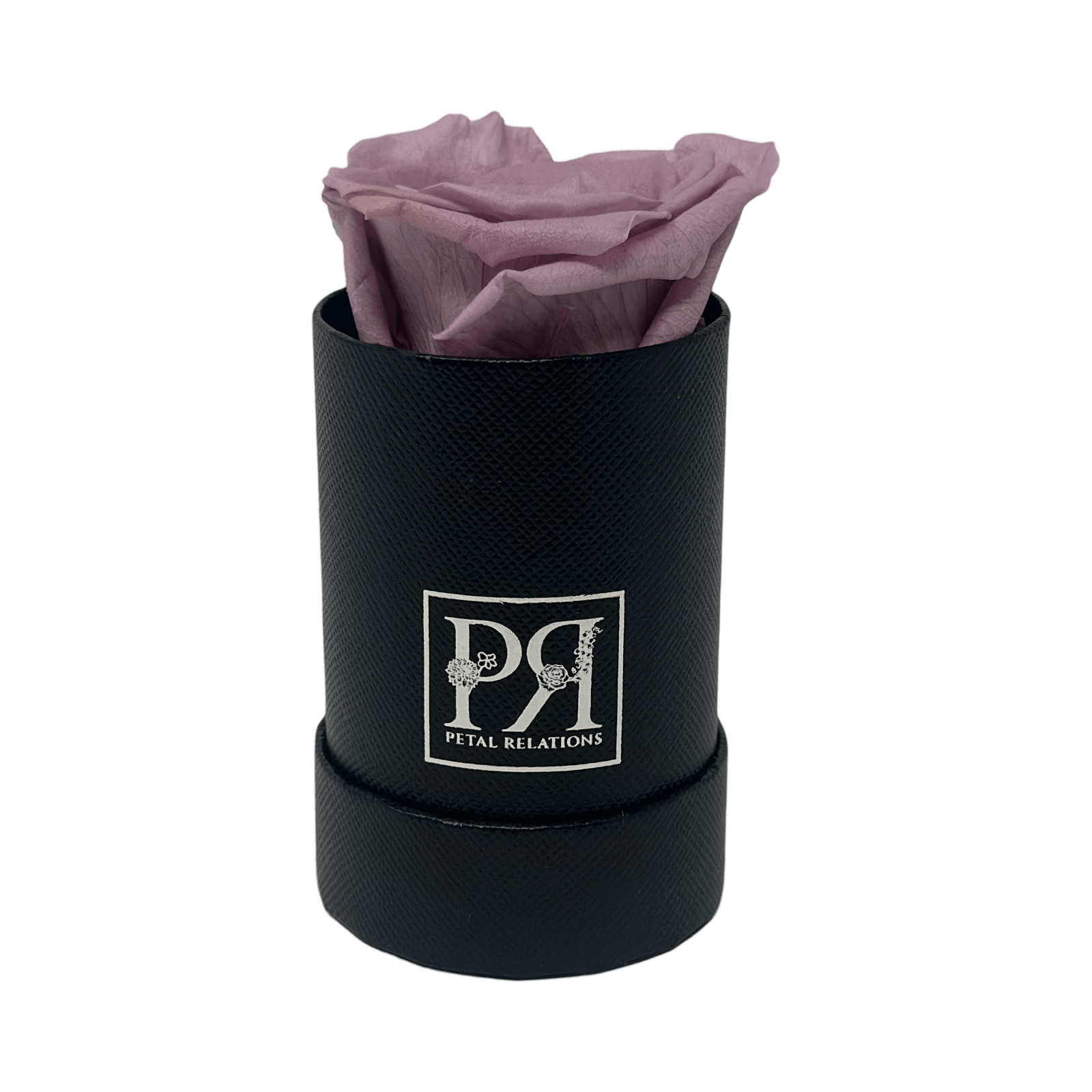 Forever Single Rose in a Box - Petal Relations