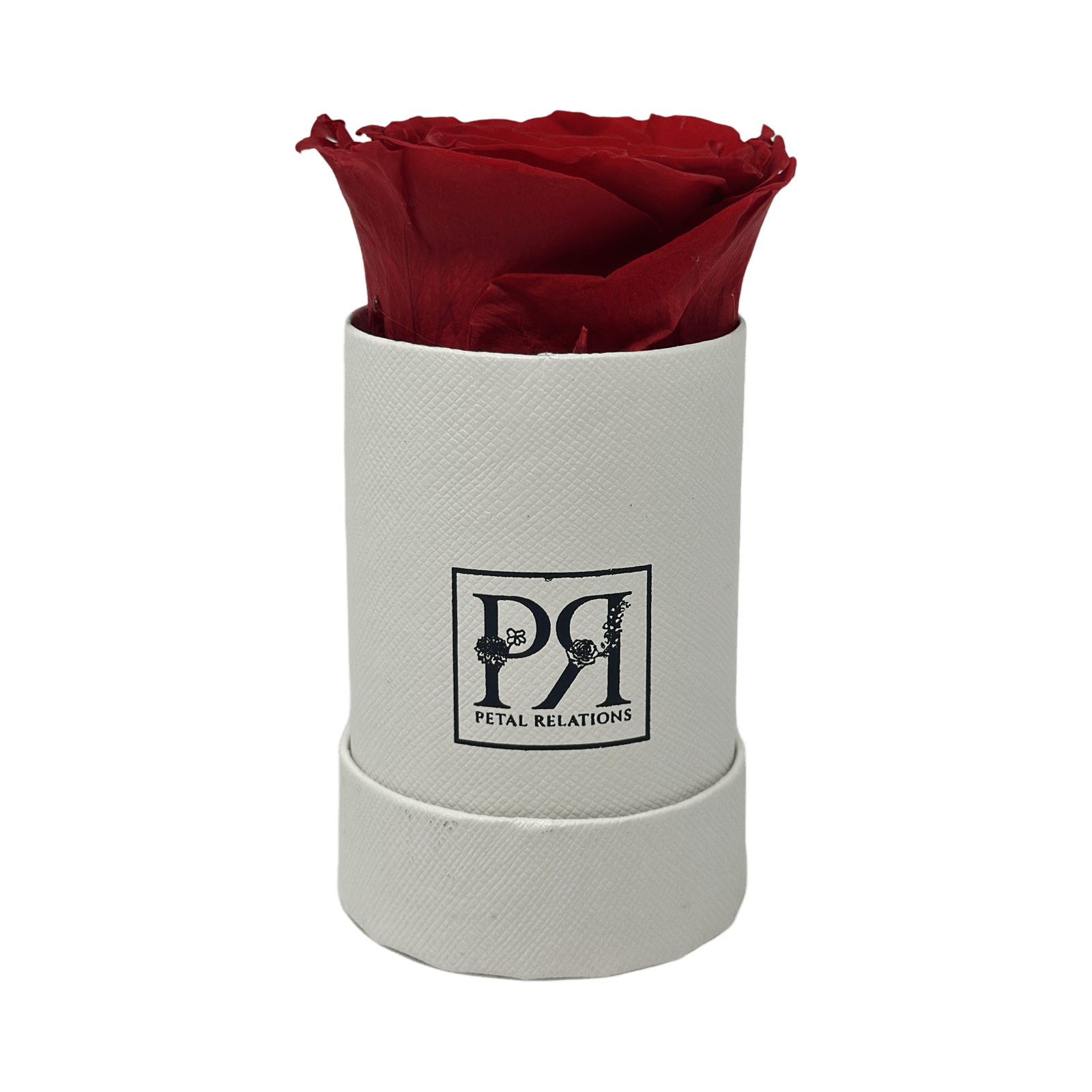 Forever Single Rose in a Box - Petal Relations