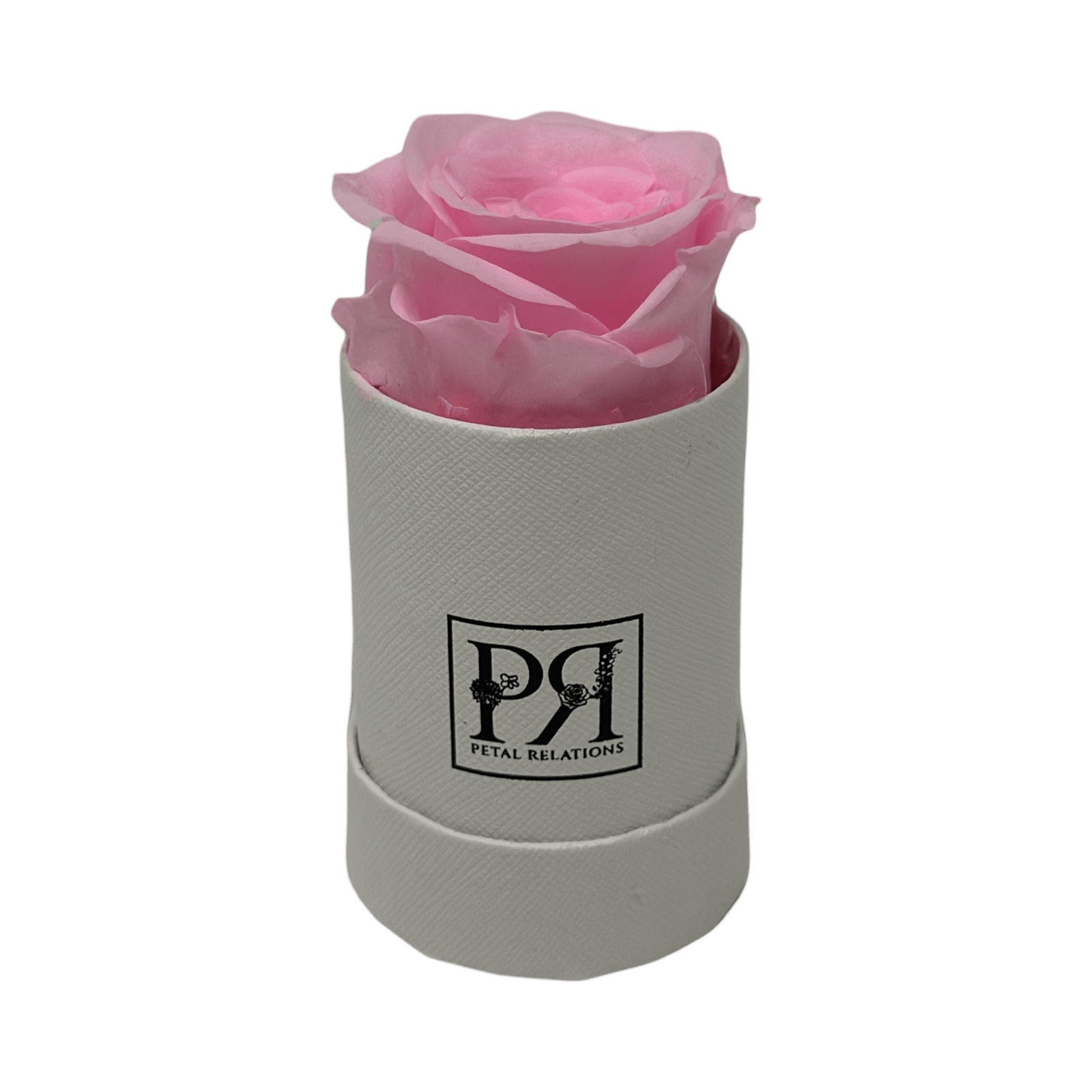 Forever Single Rose in a Box - Petal Relations