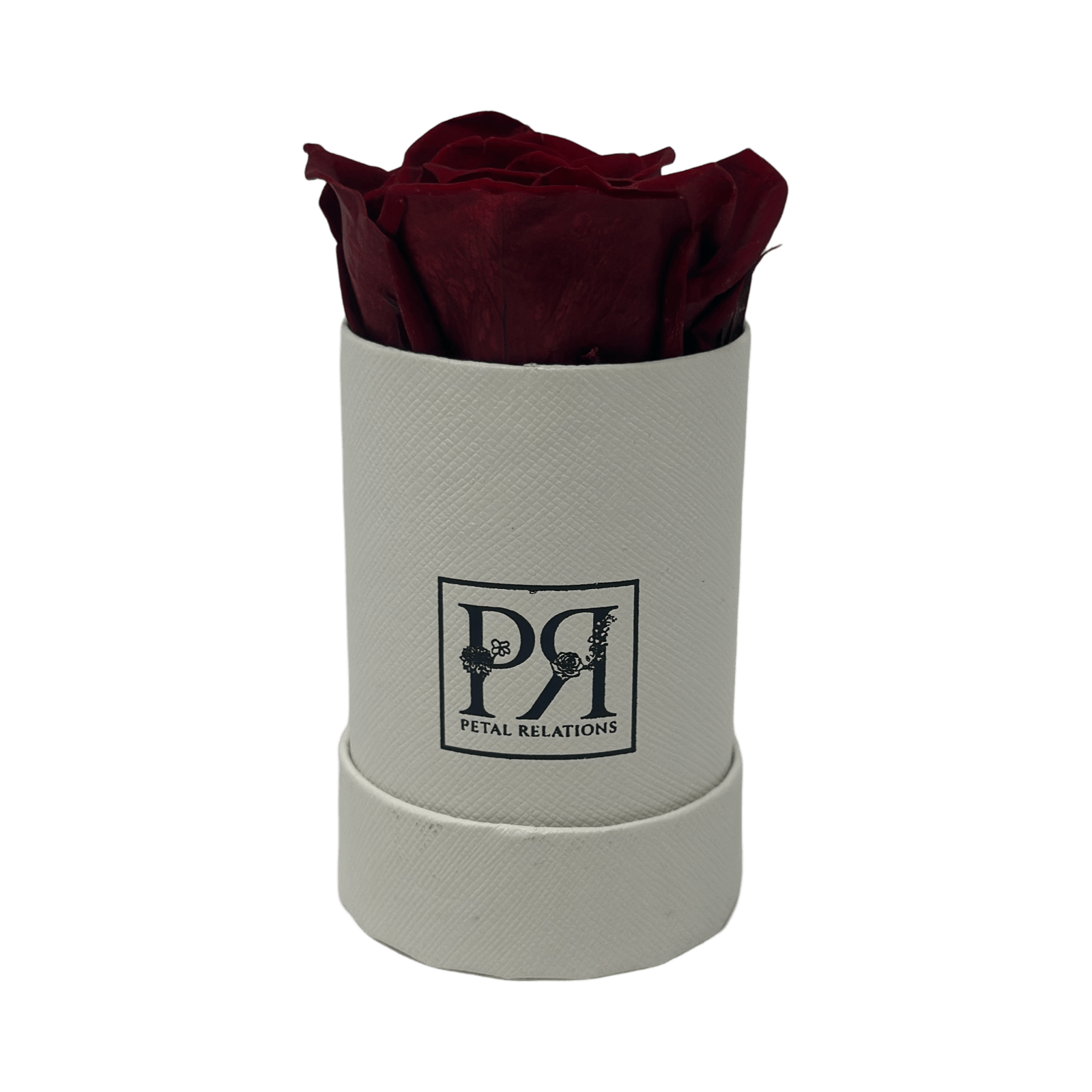 Forever Single Rose in a Box - Petal Relations