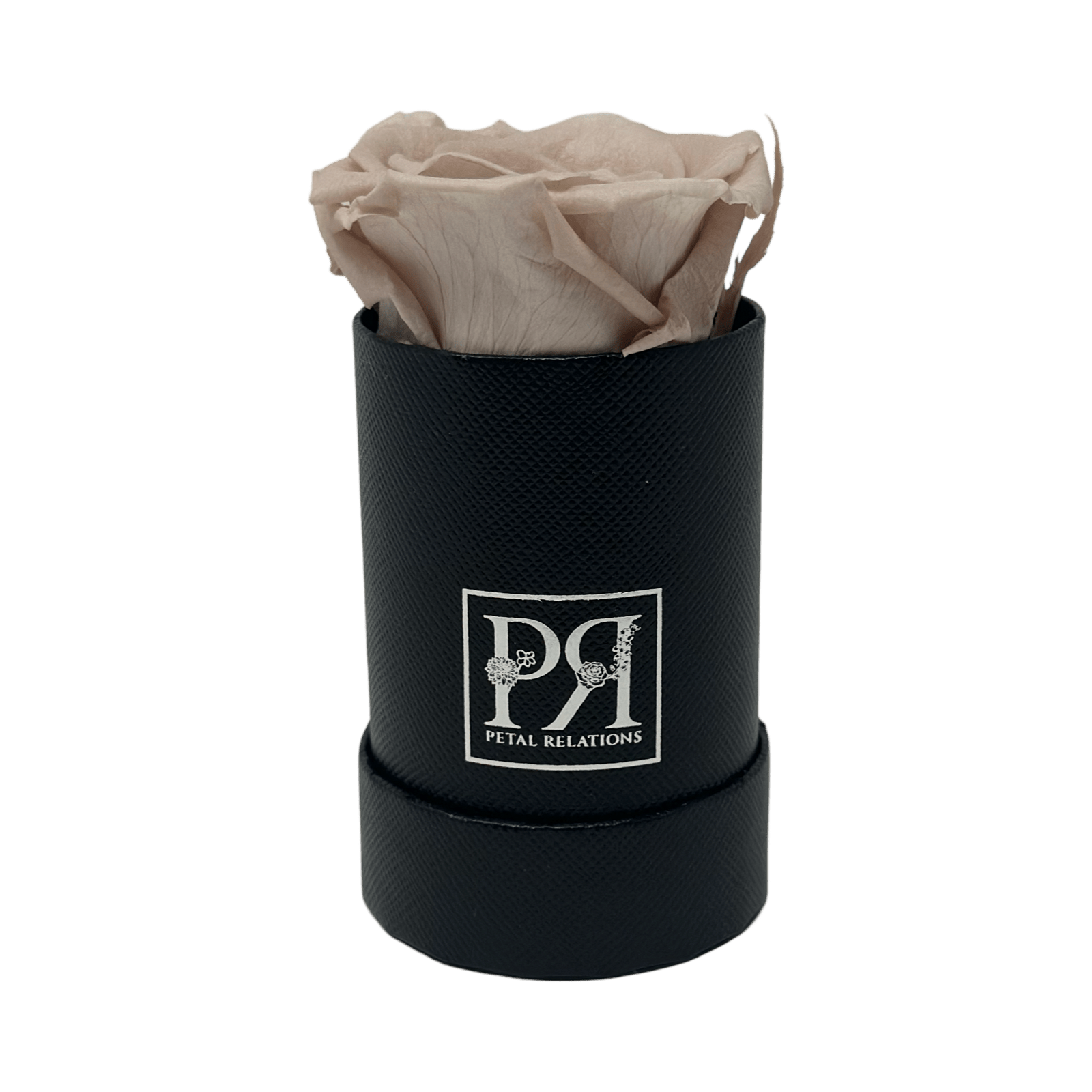 Forever Single Rose in a Box - Petal Relations