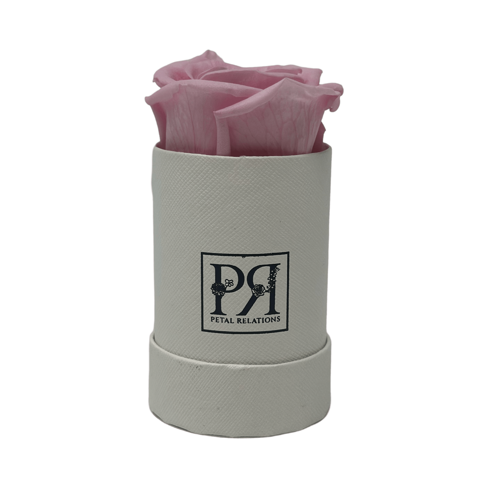 Forever Single Rose in a Box - Petal Relations