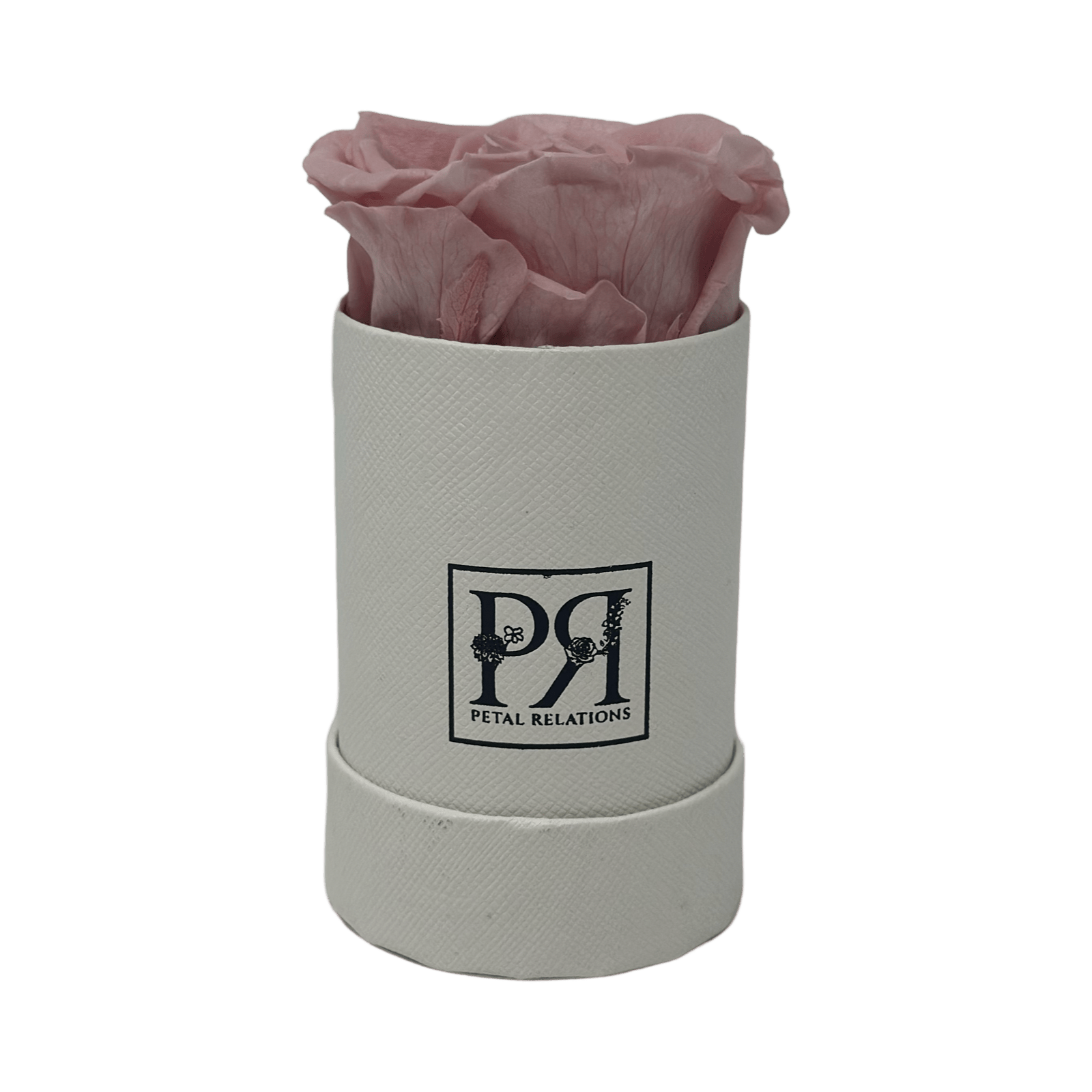 Forever Single Rose in a Box - Petal Relations