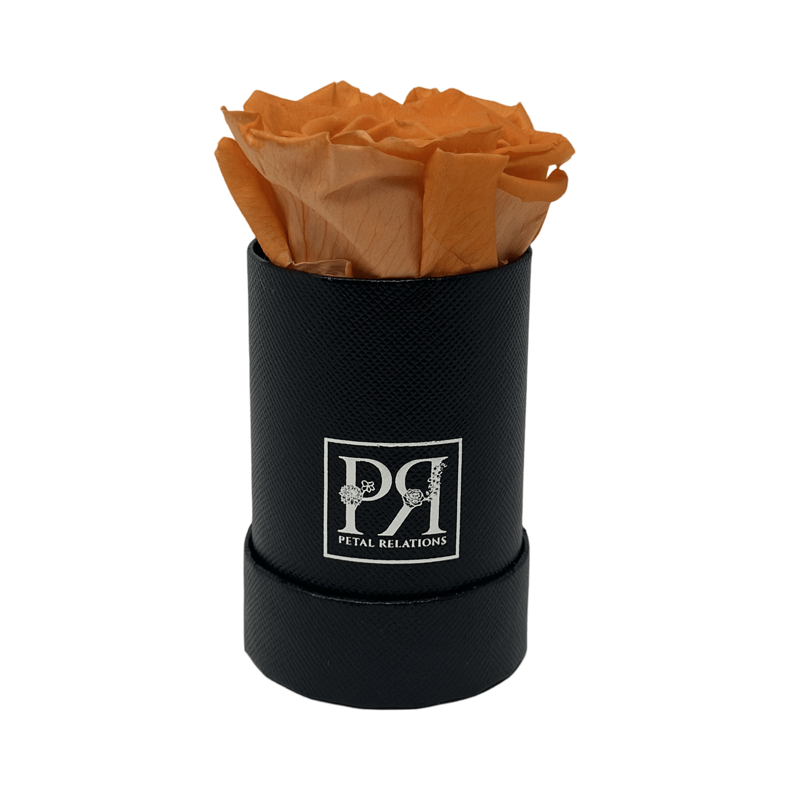 Forever Single Rose in a Box - Petal Relations