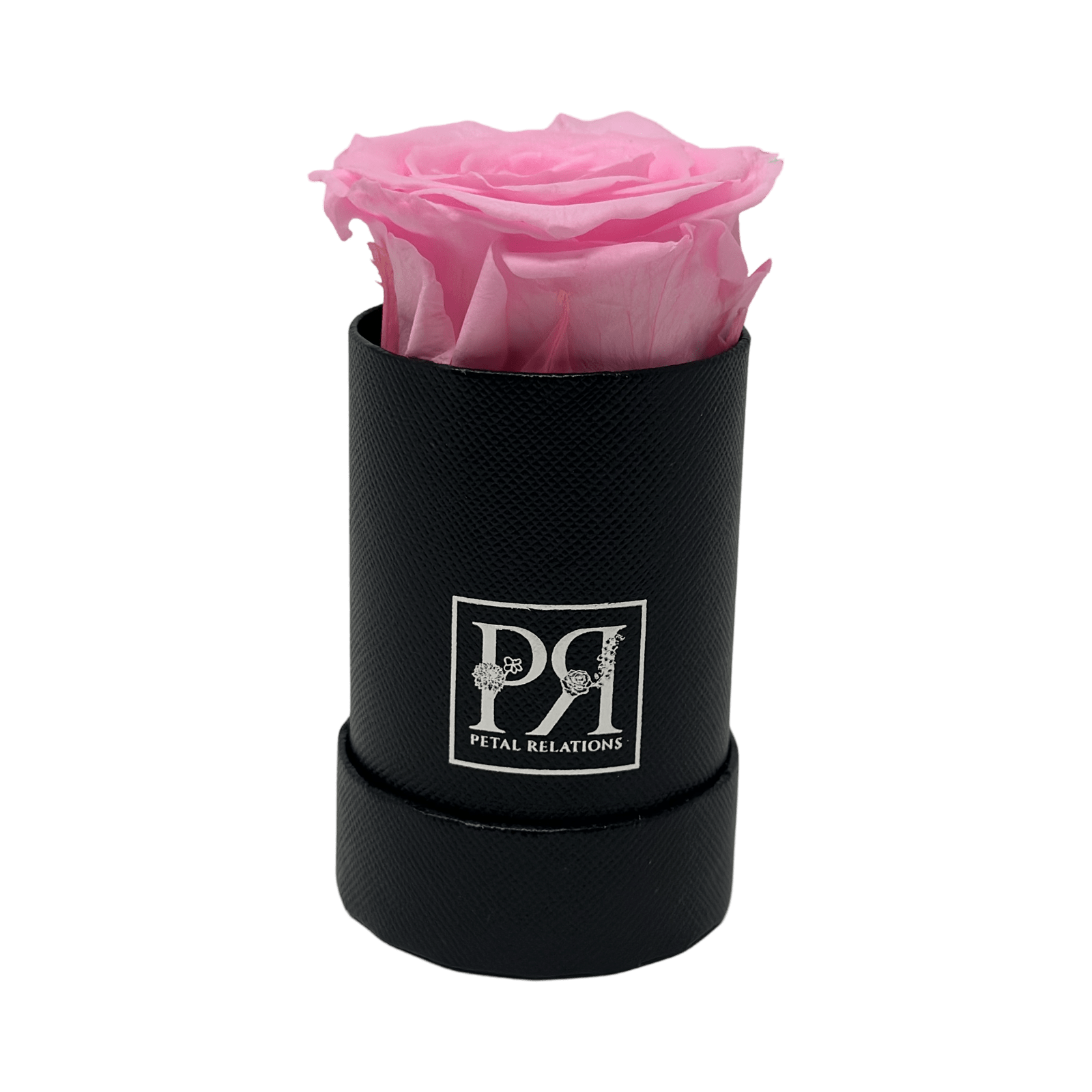 Forever Single Rose in a Box - Petal Relations