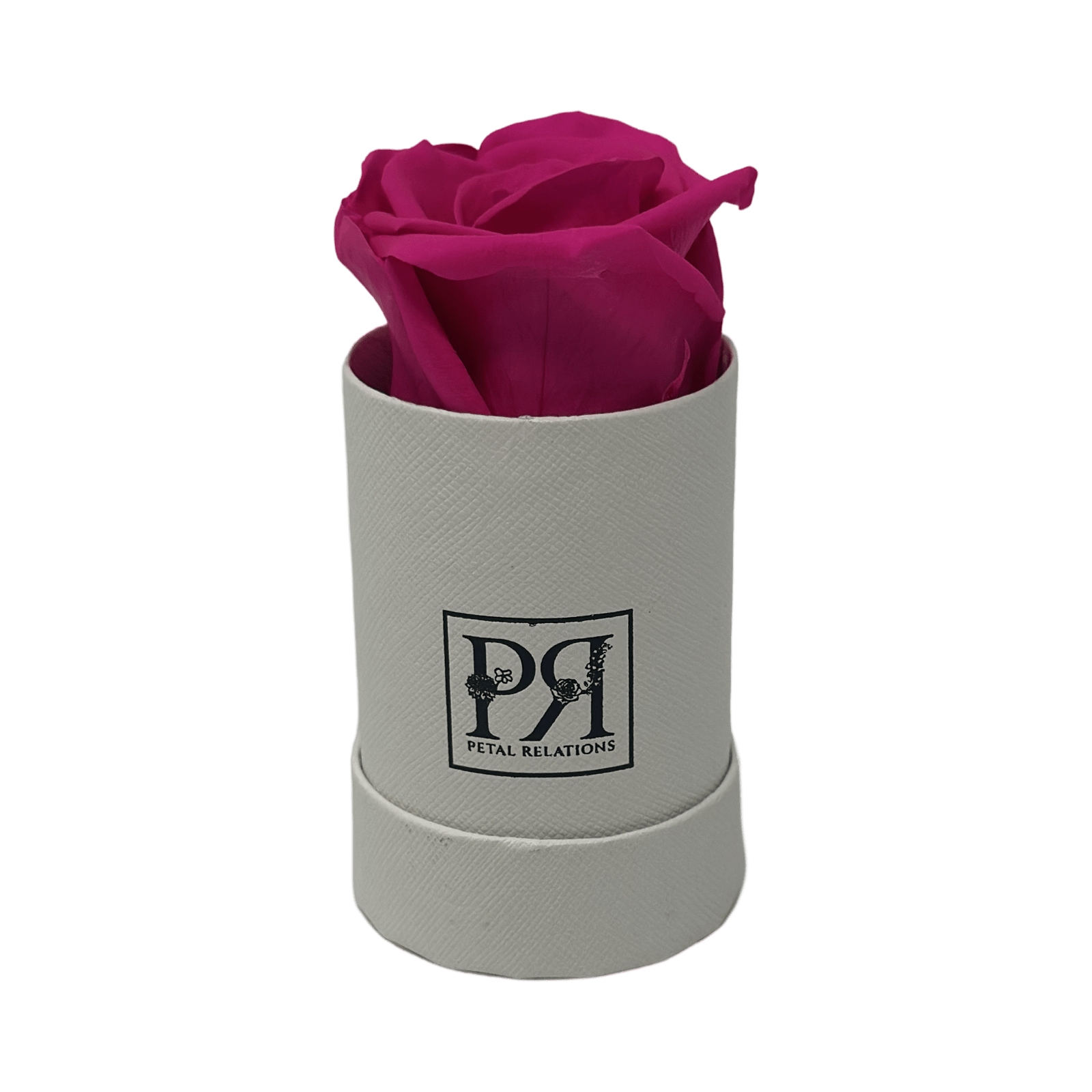 Forever Single Rose in a Box - Petal Relations