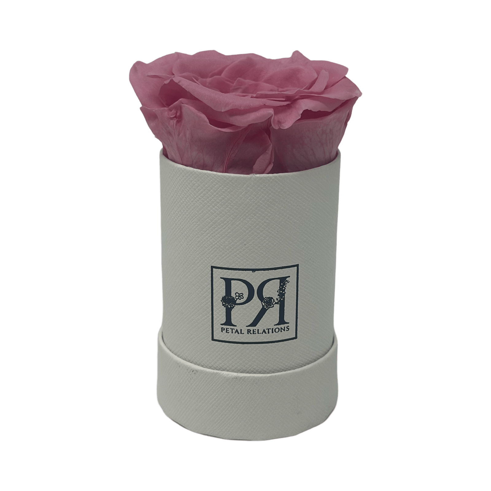 Forever Single Rose in a Box - Petal Relations