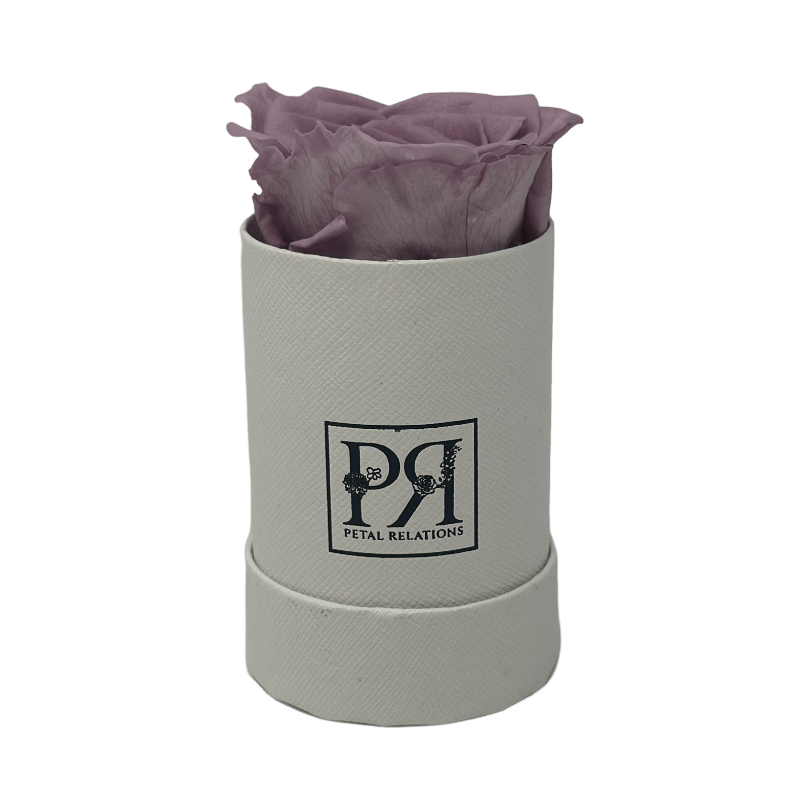 Forever Single Rose in a Box - Petal Relations