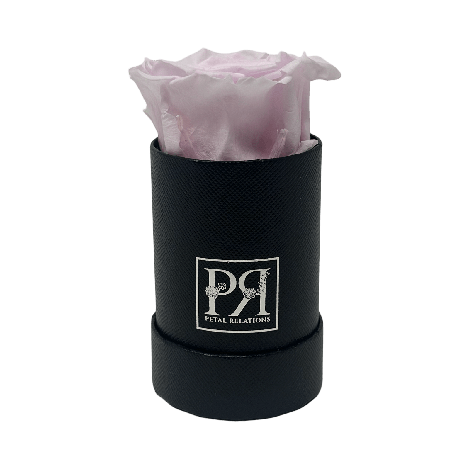 Forever Single Rose in a Box - Petal Relations