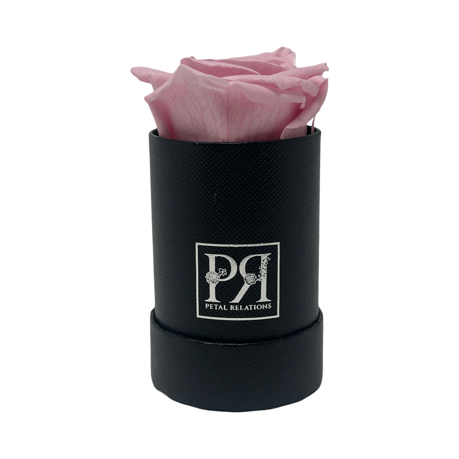 Forever Single Rose in a Box - Petal Relations
