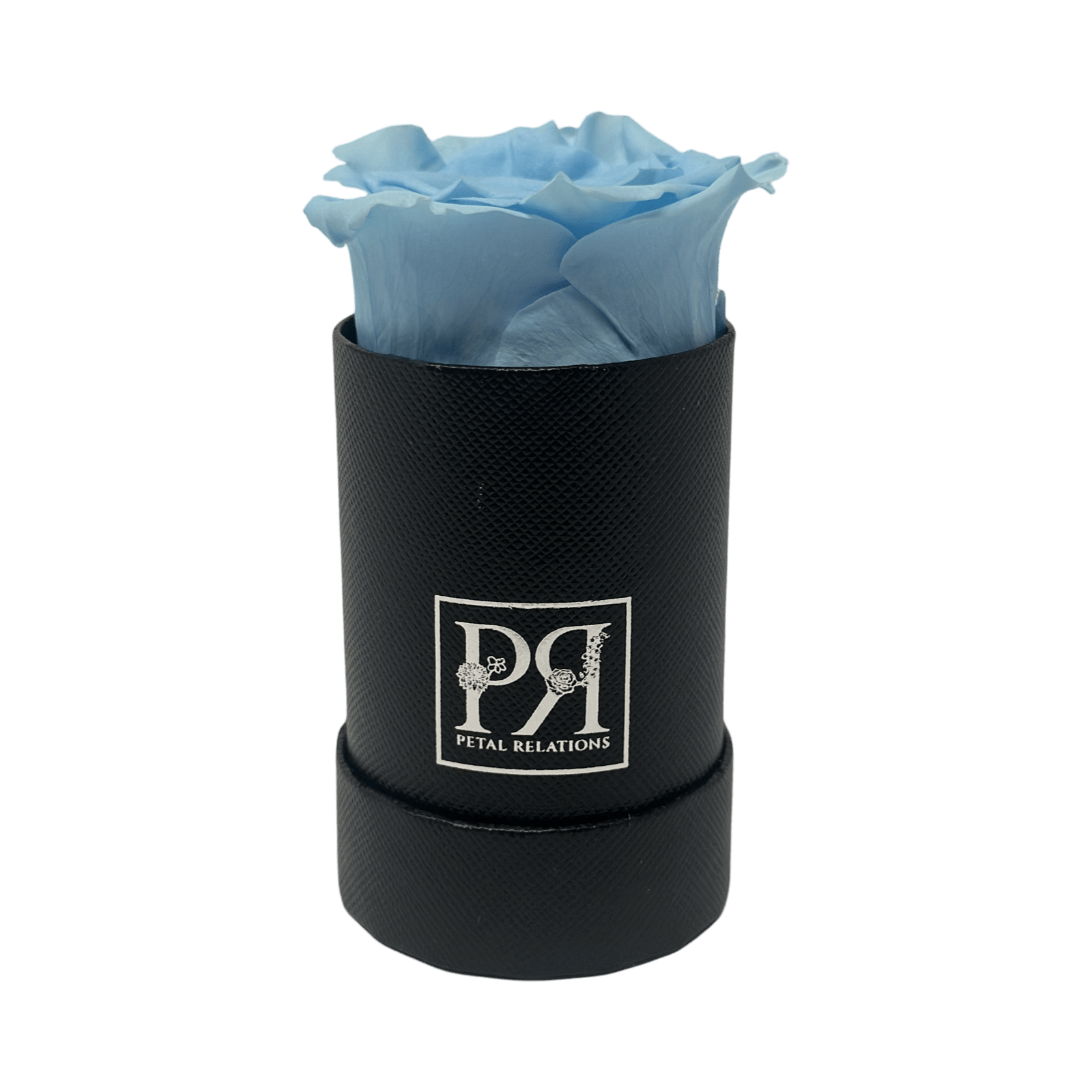 Forever Single Rose in a Box - Petal Relations