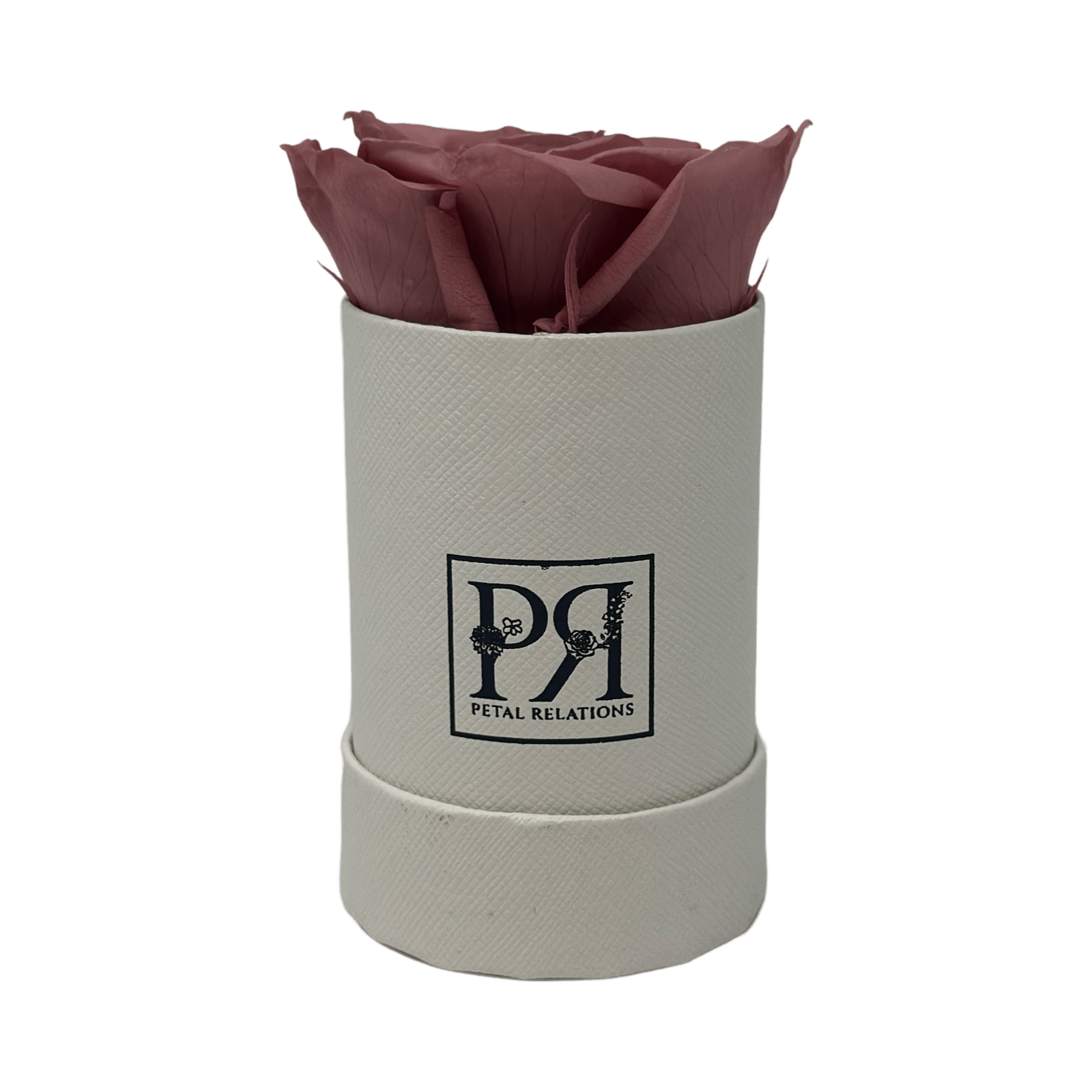 Forever Single Rose in a Box - Petal Relations