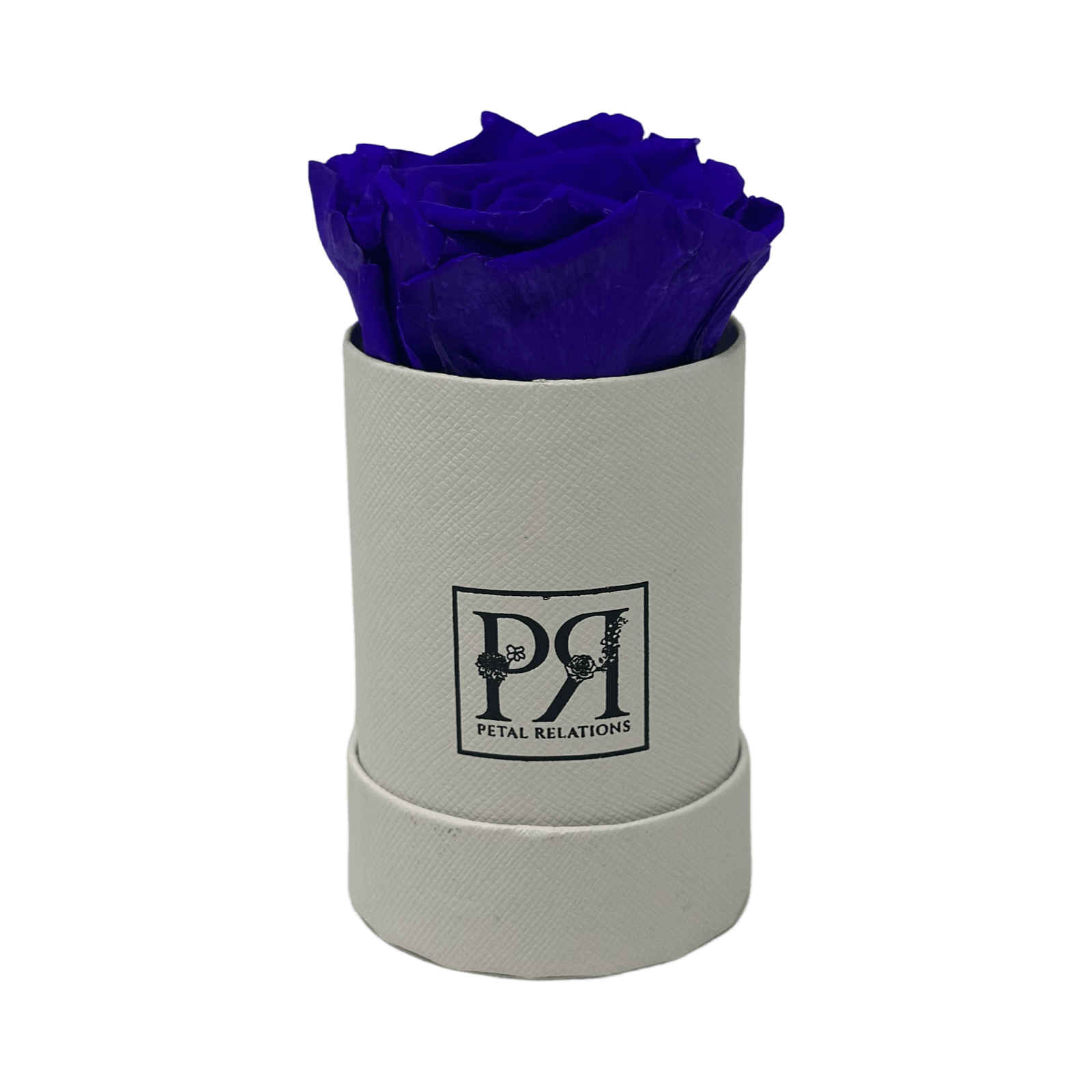 Forever Single Rose in a Box - Petal Relations