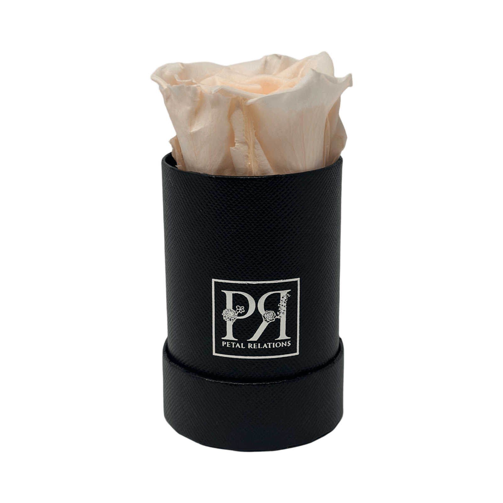 Forever Single Rose in a Box - Petal Relations