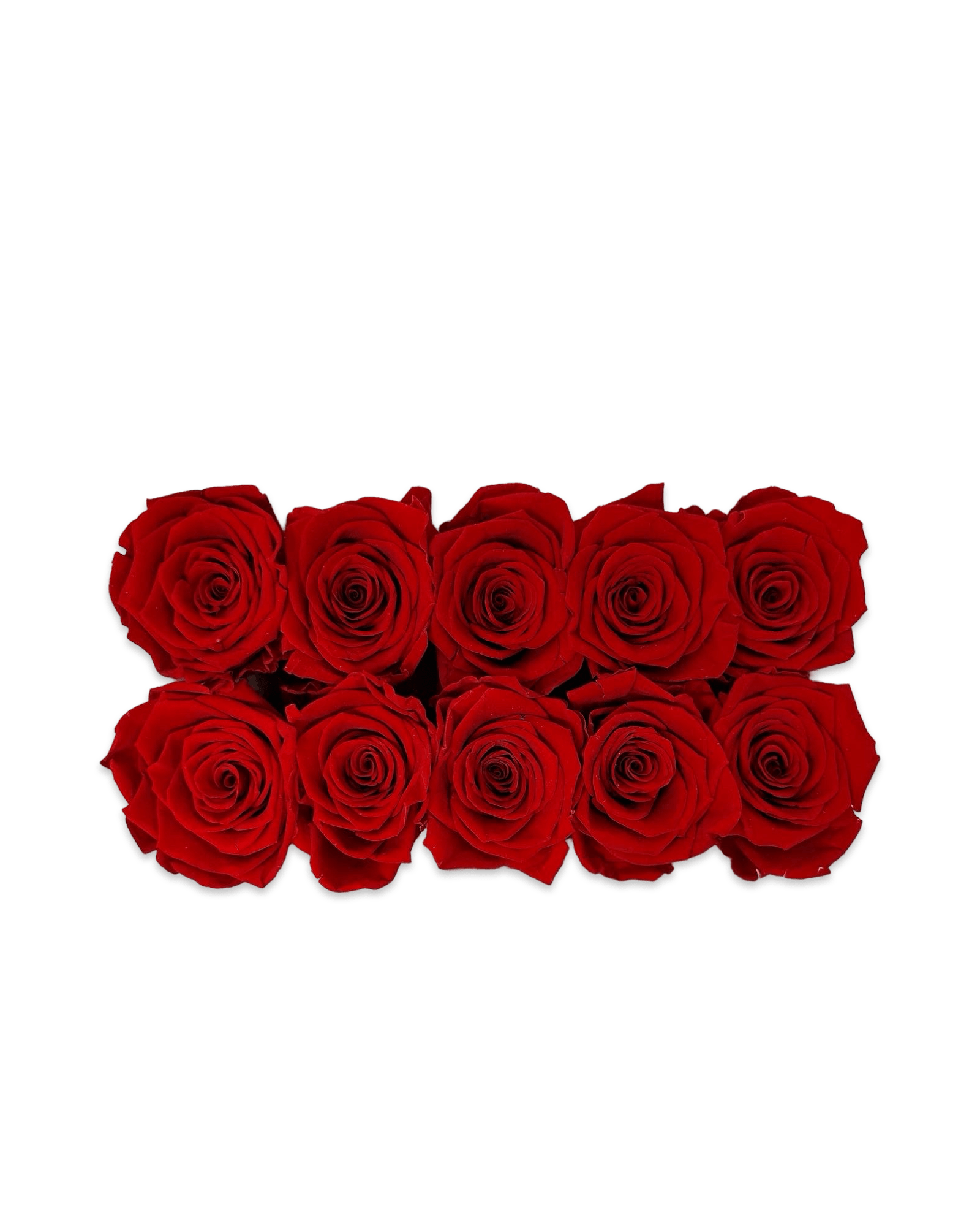 Forever Small Rectangle - Petal Relations