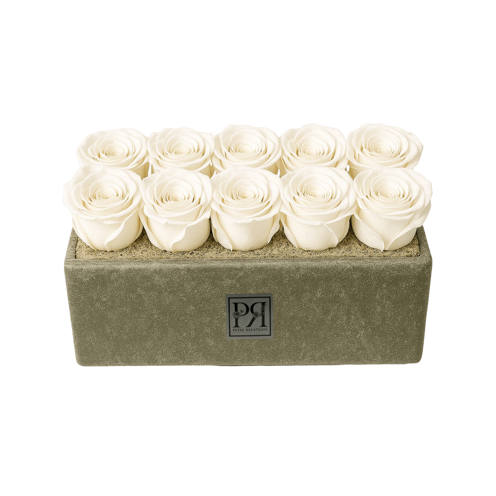 Forever Small Rectangle - Petal Relations