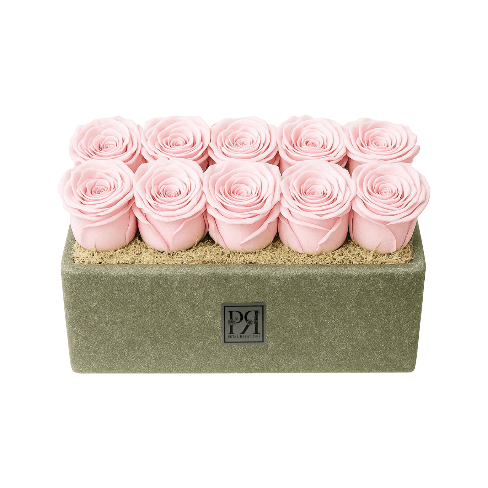 Forever Small Rectangle - Petal Relations