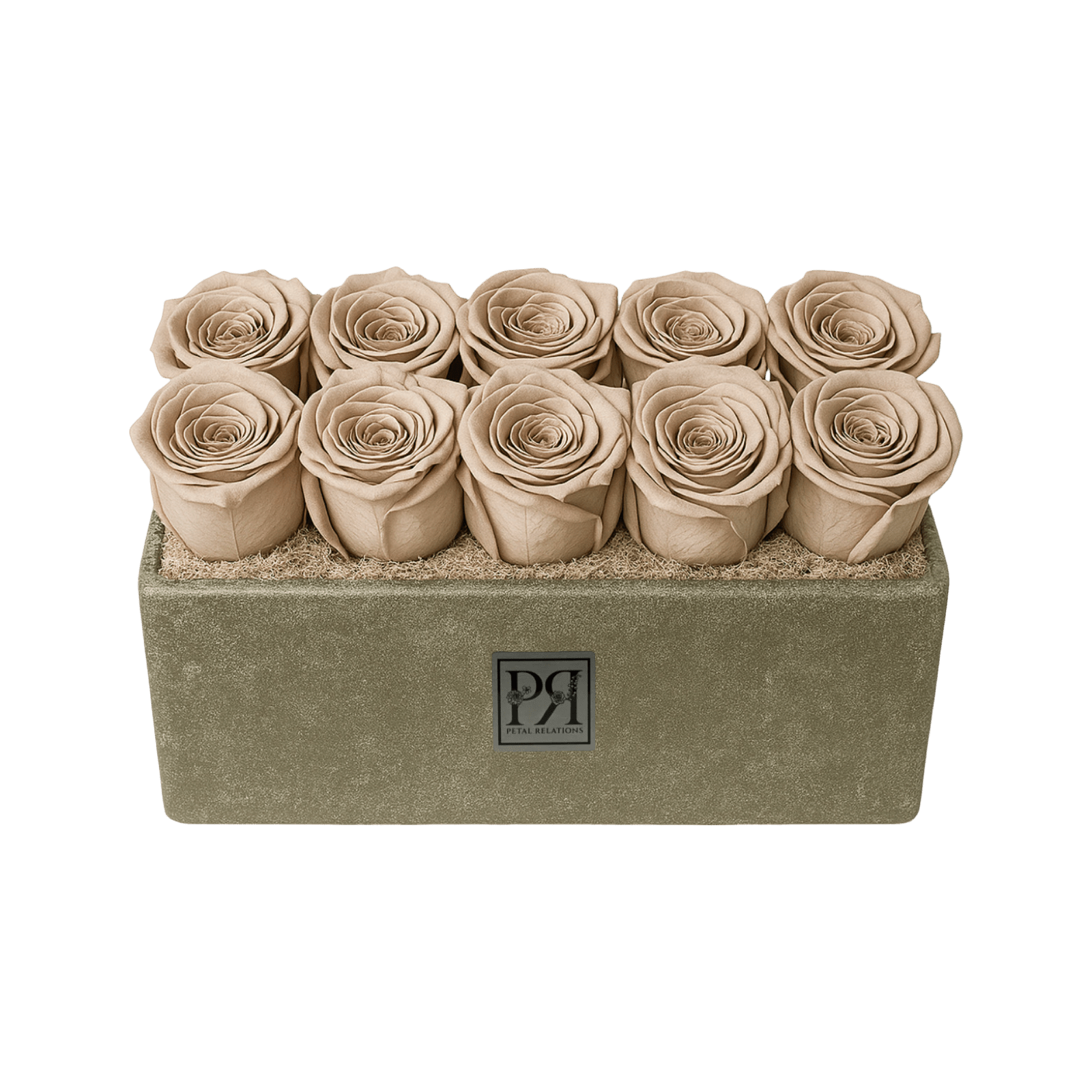 Forever Small Rectangle - Petal Relations