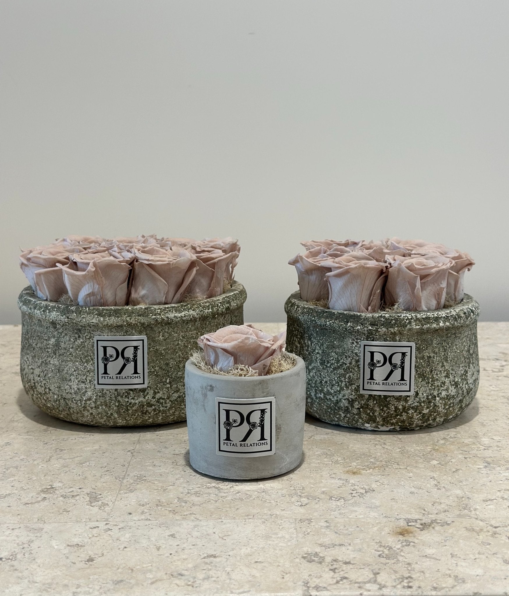 Forever Small Round - Petal Relations